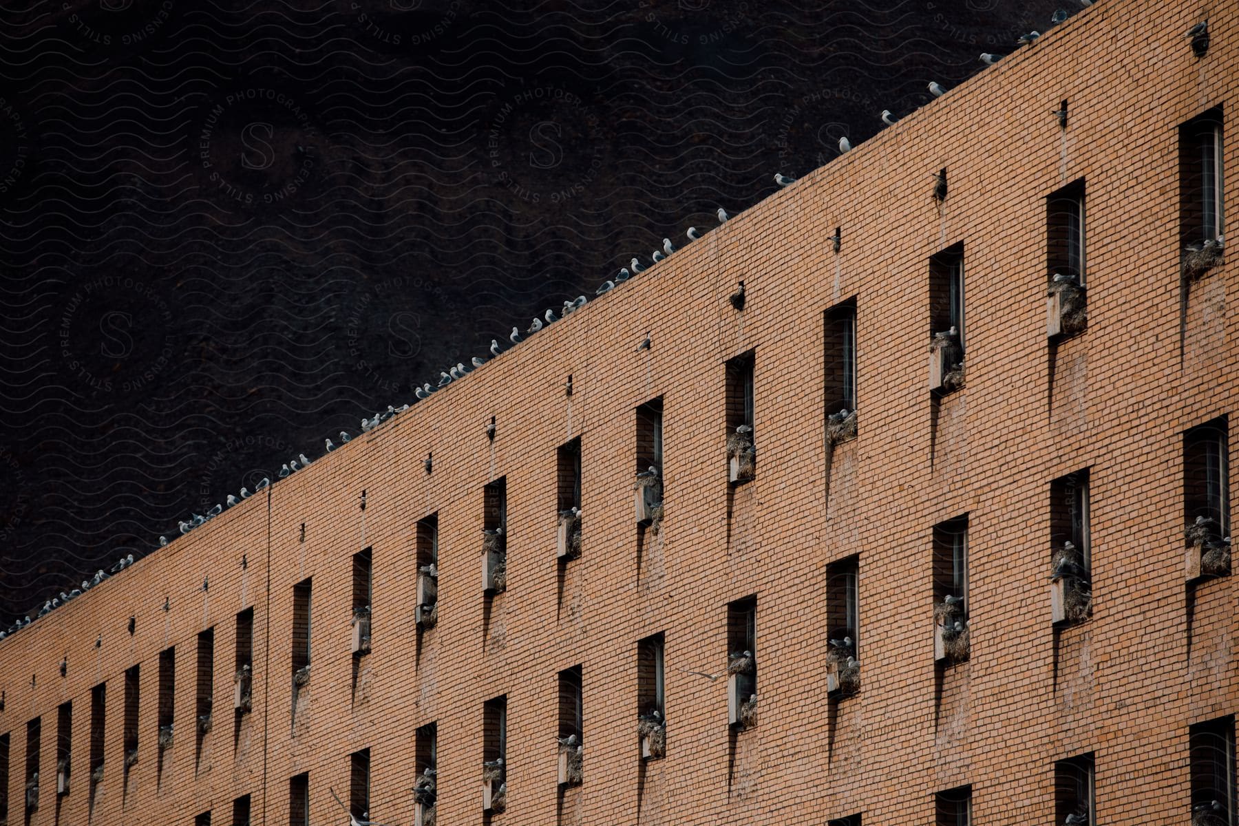 A building constructed with uniform windows and bricks