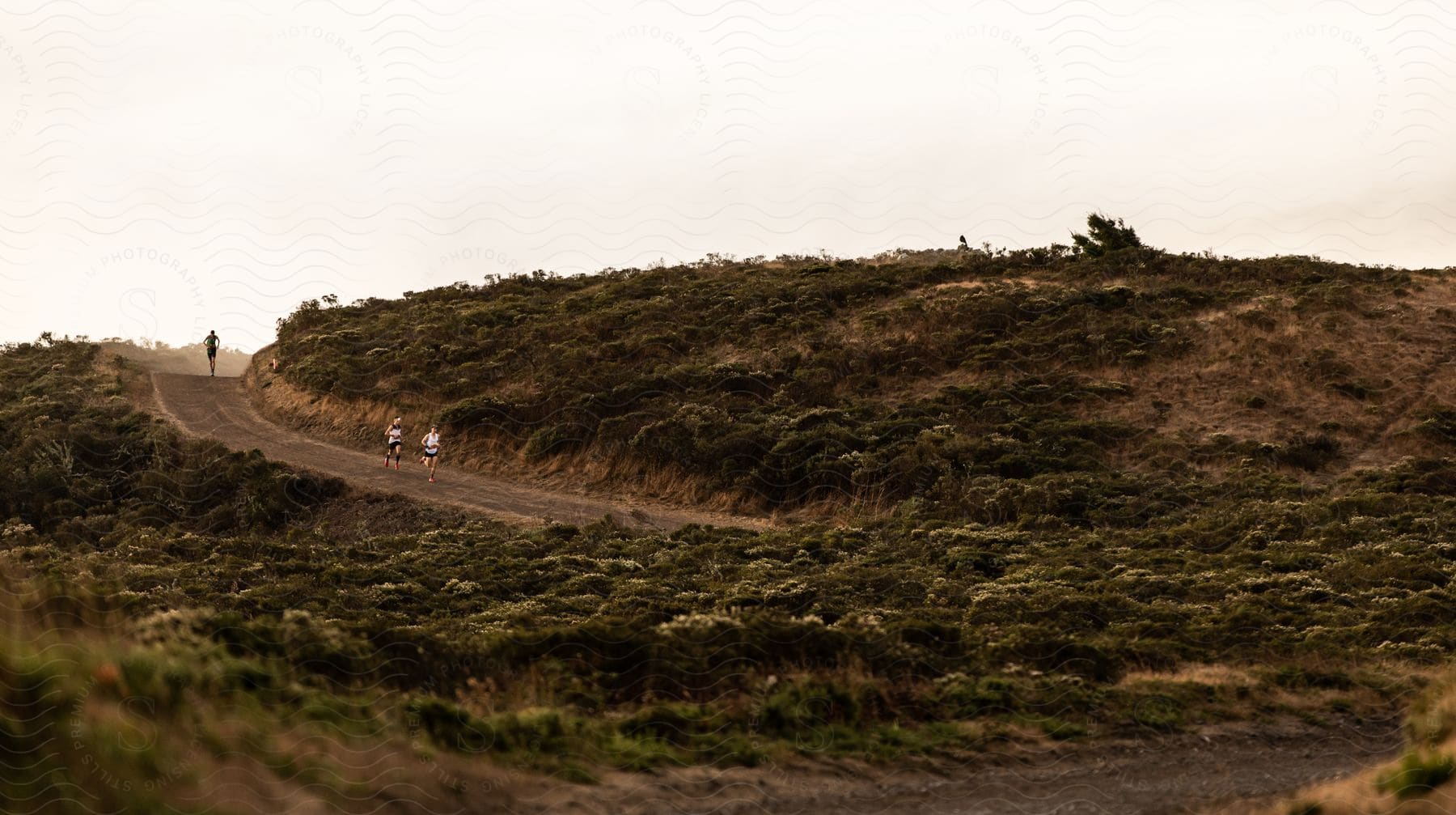 Three people run down a dirt road next to a grassy hill with bushes kicking up dust