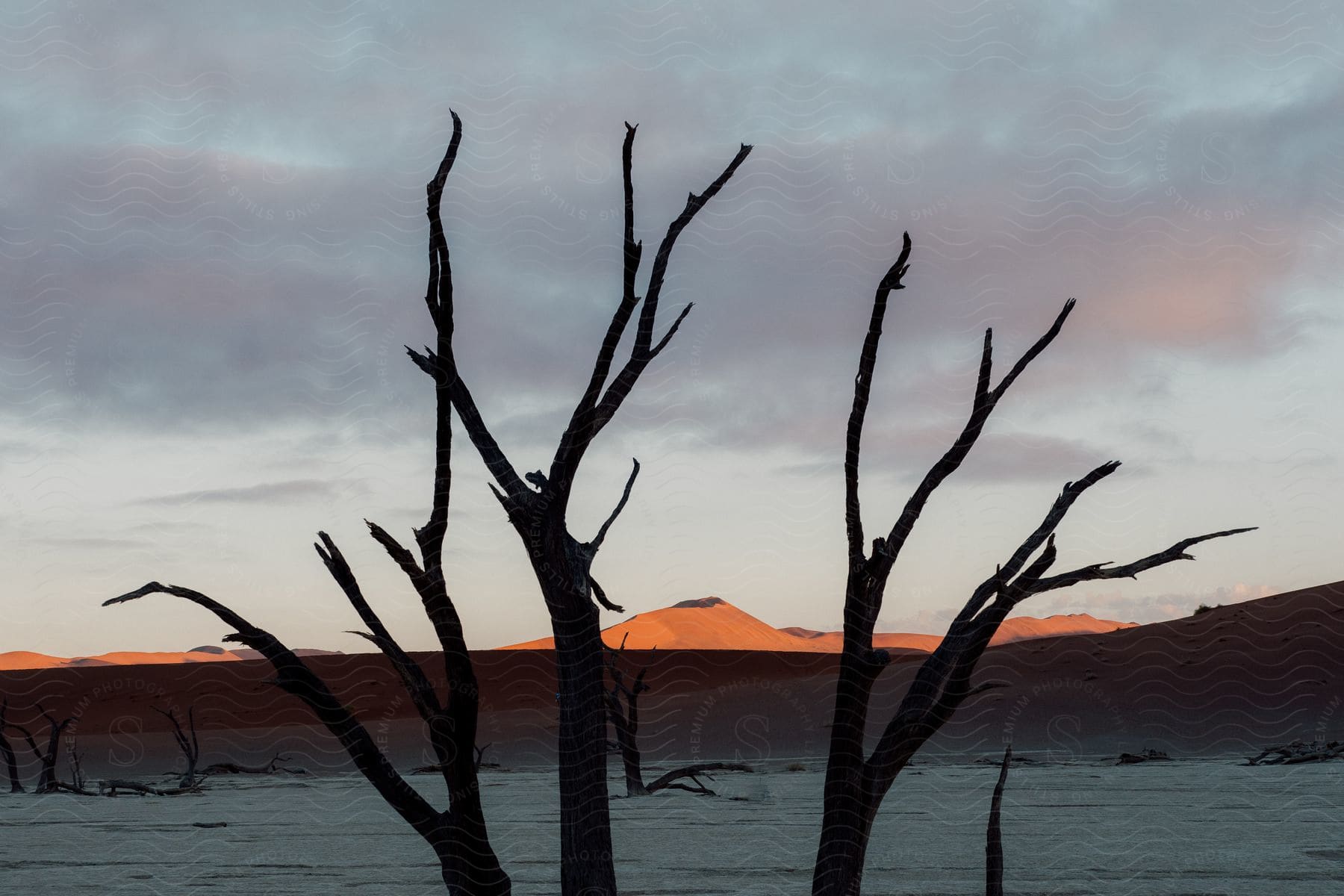 A serene desert landscape at sunset with cloudy skies