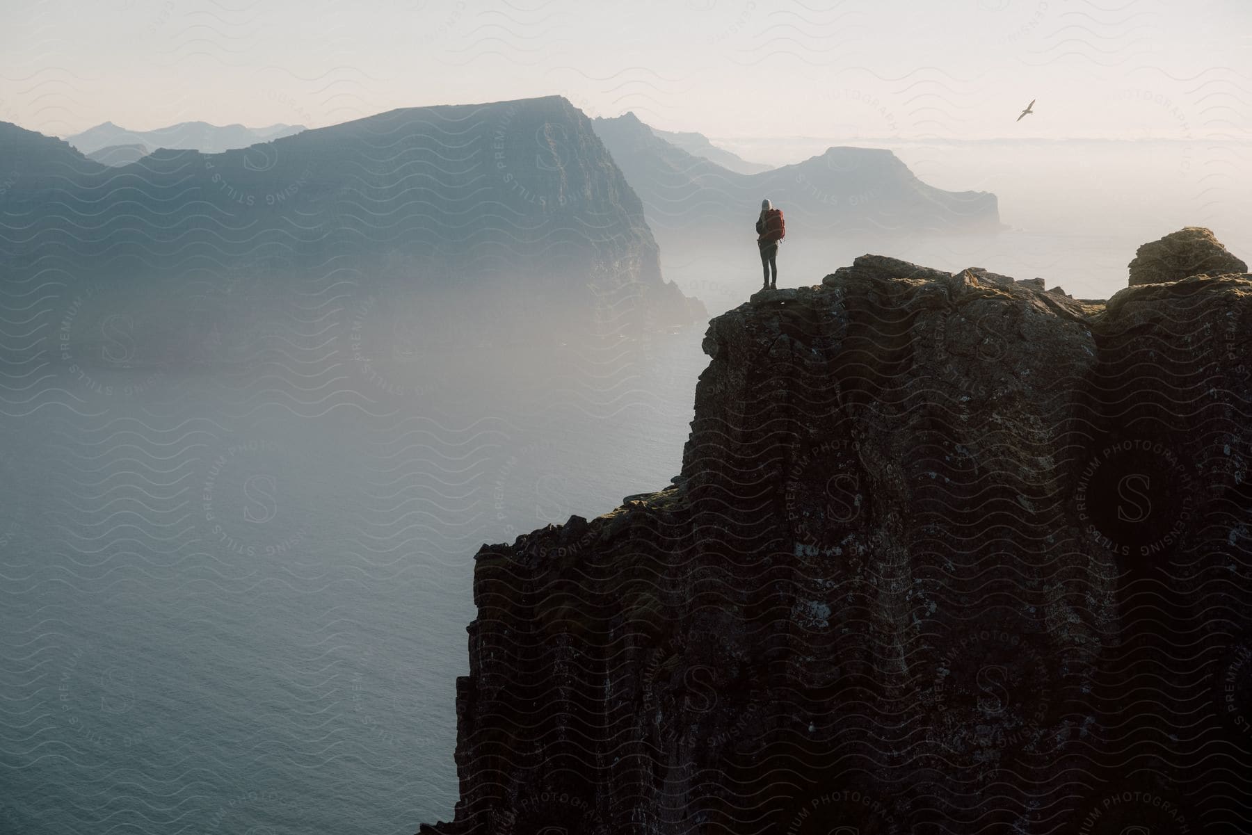 Stock photo of a hiker stands on a mountain overlooking water and distant mountains as a seagull flies nearby