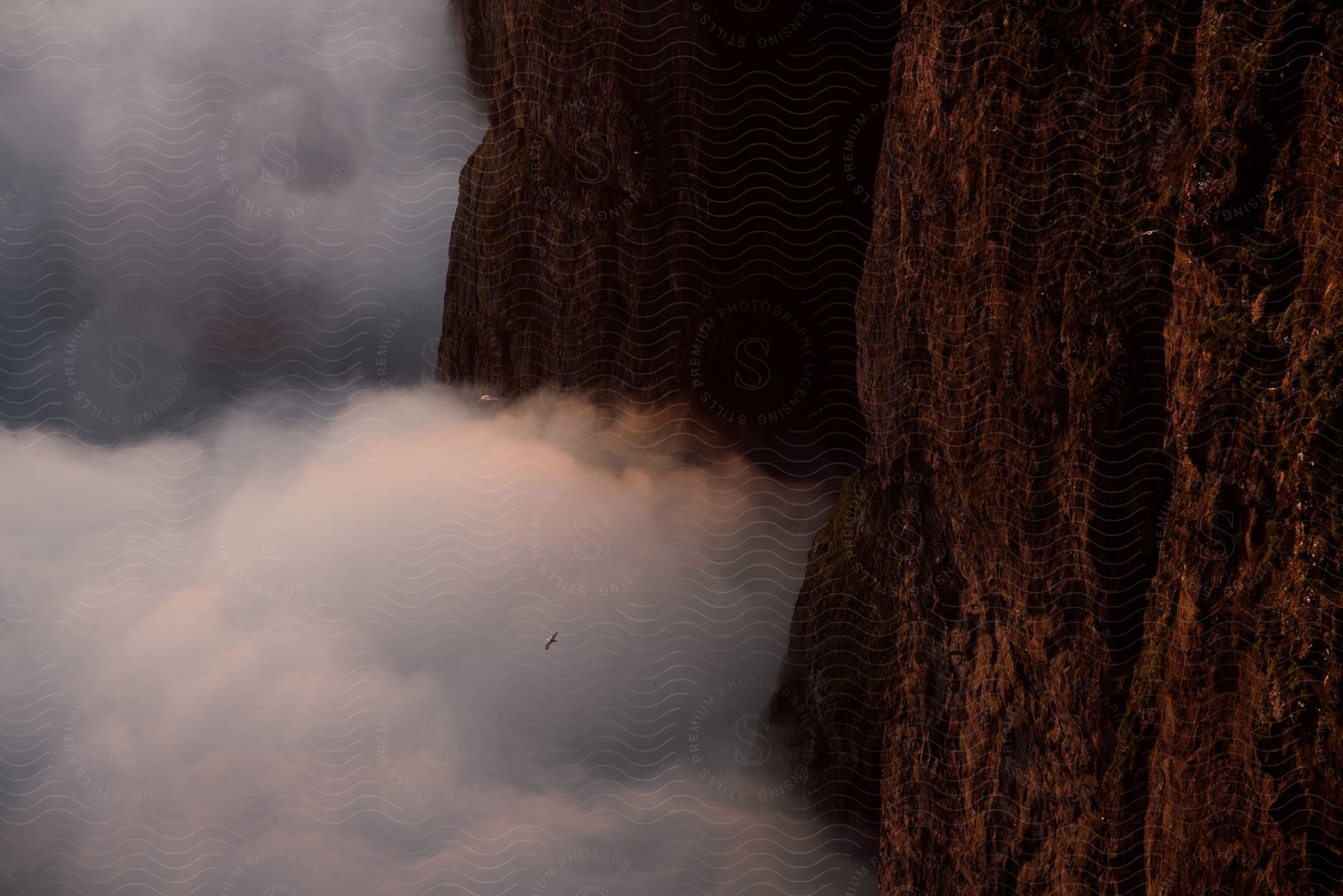 A bird flies over mistcovered cliffs