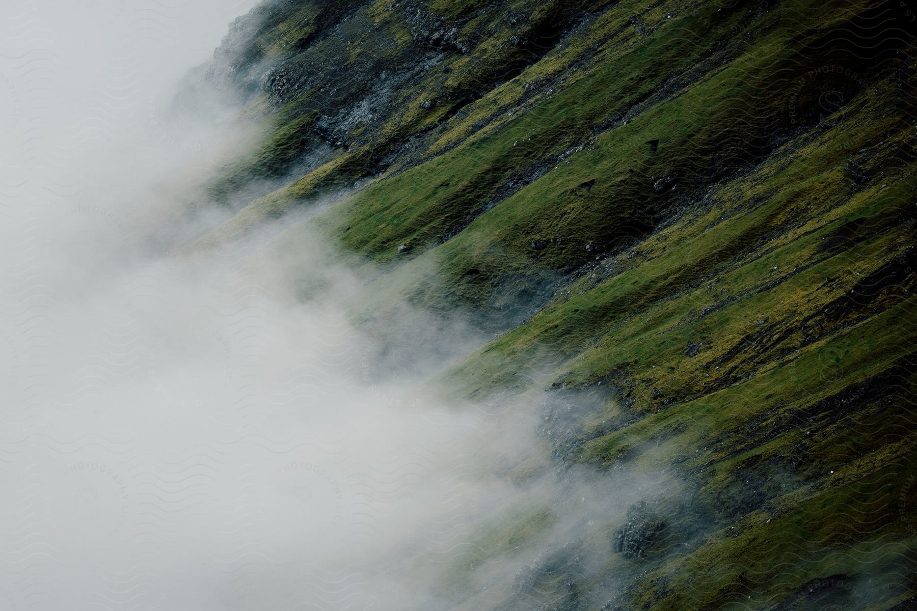 Mountain landscape with rocks vegetation and fog