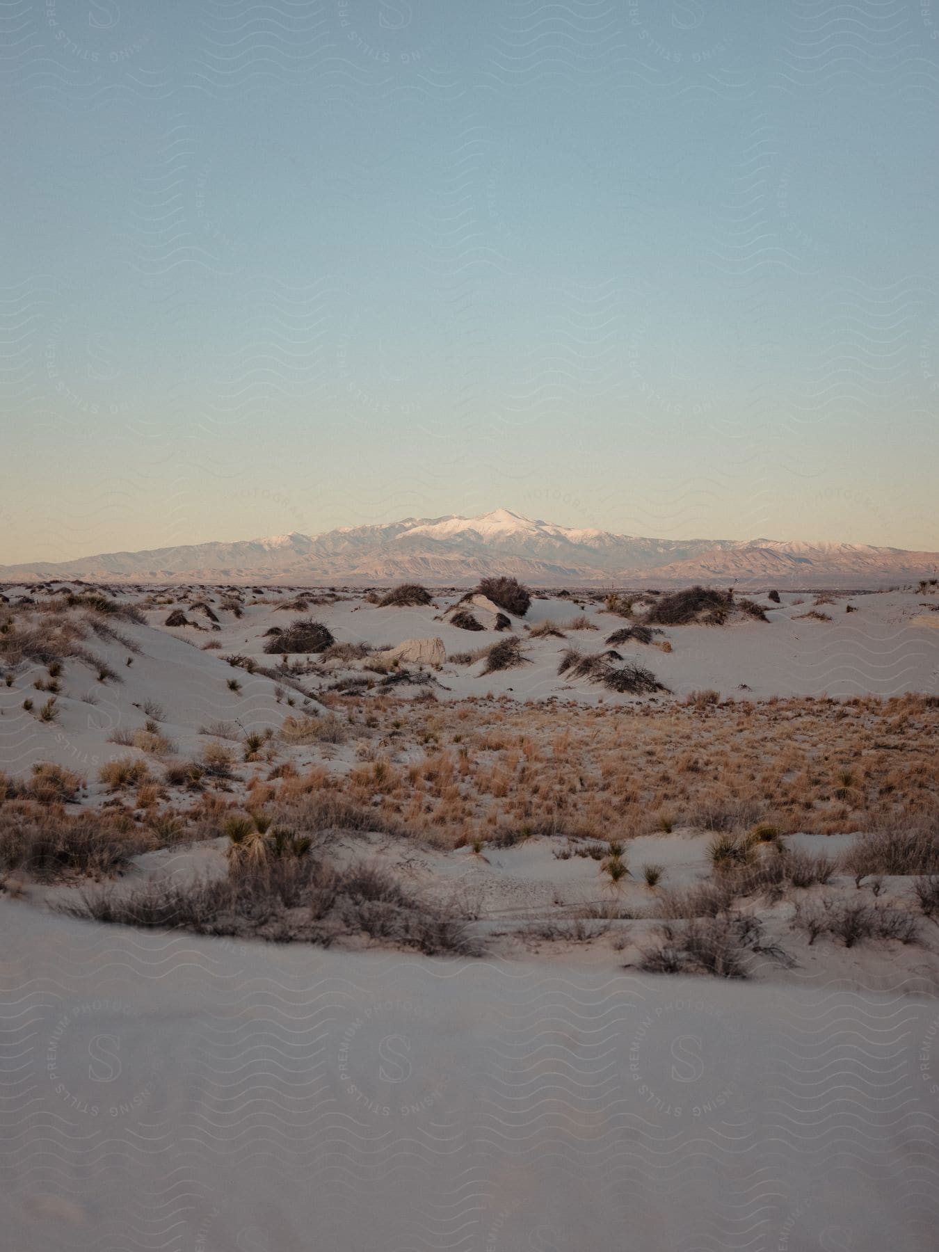 A barren desert landscape with snowcovered mountains in the background
