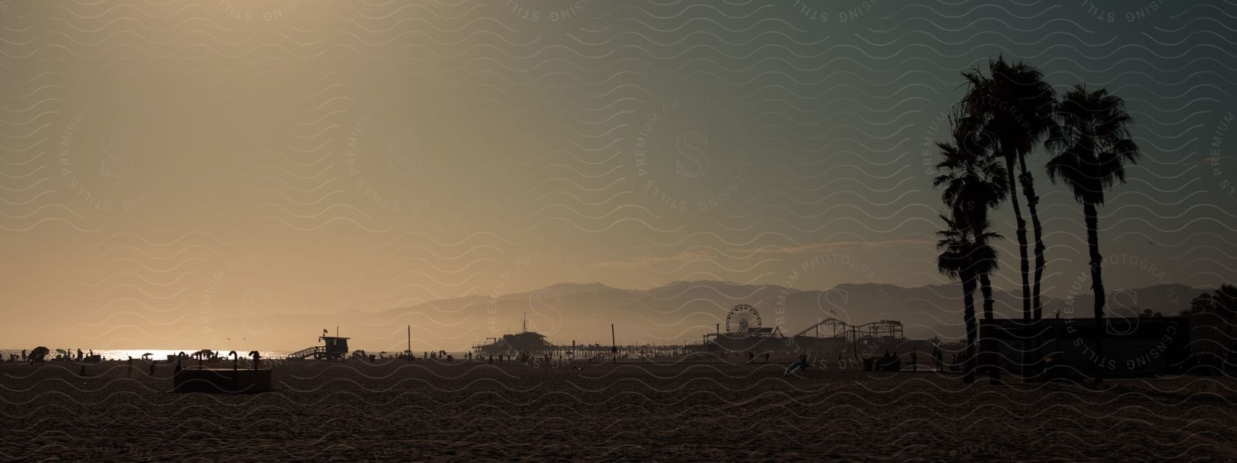 Santa monica los angeles features a beach pier with a ferris wheel and palm trees creating a picturesque coastal scene in the heart of the city