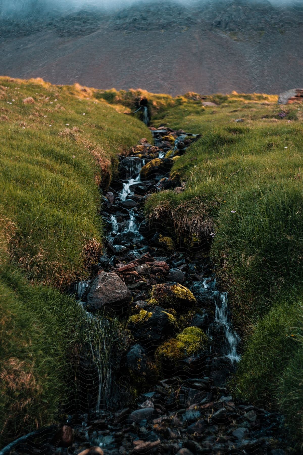 Serene creek meandering through lush green landscape