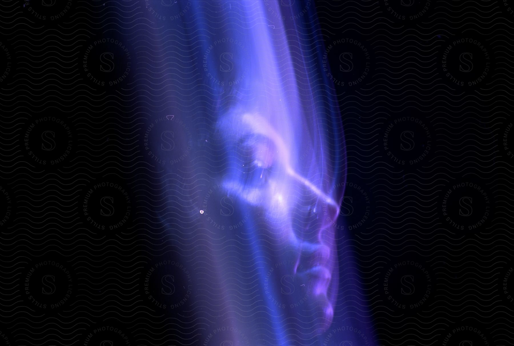 A profile of a darkhaired woman under blue and violet lights with a slight blur over her face