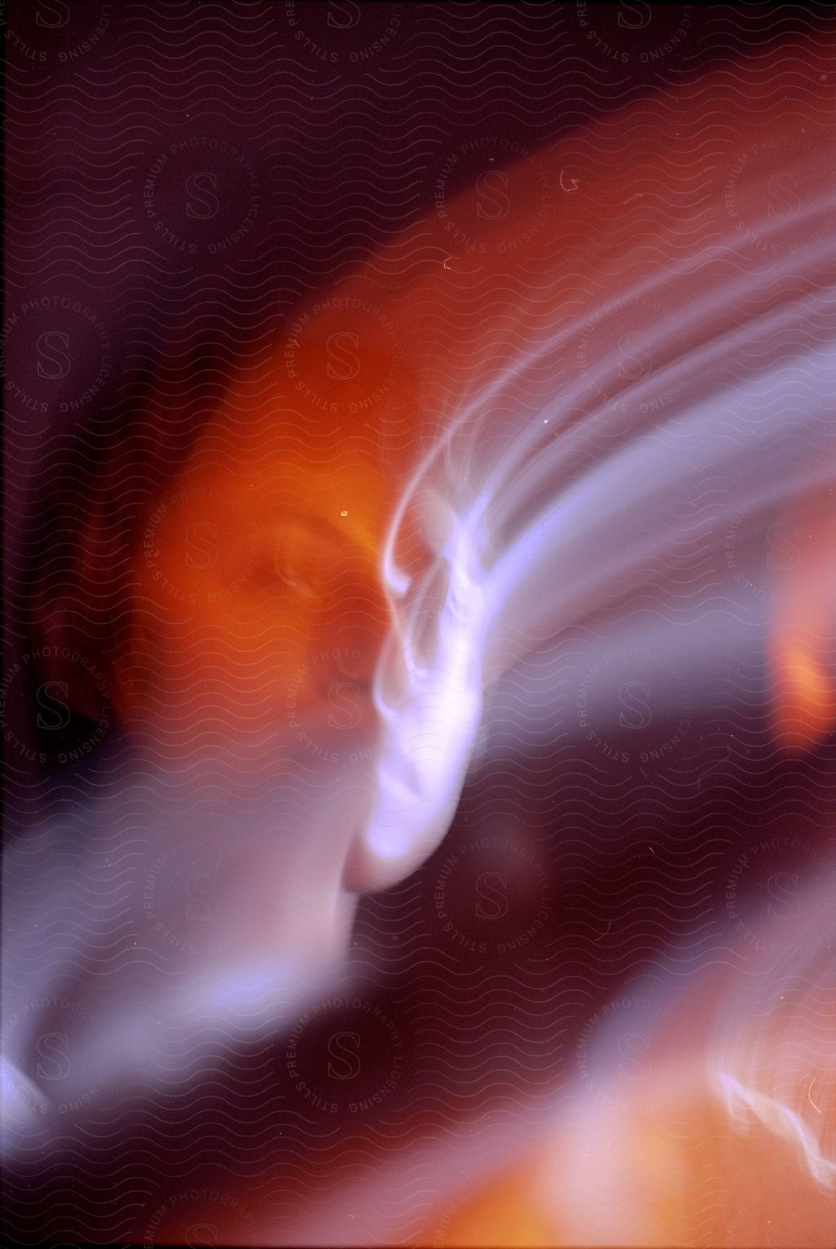 Woman Looking Down At Camera With Blurred Background