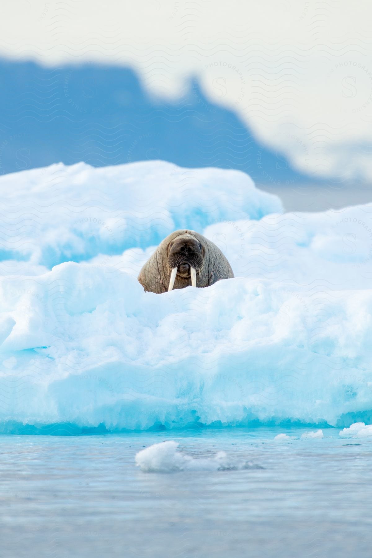 A serene natural landscape with mountains ice and a polar ice cap