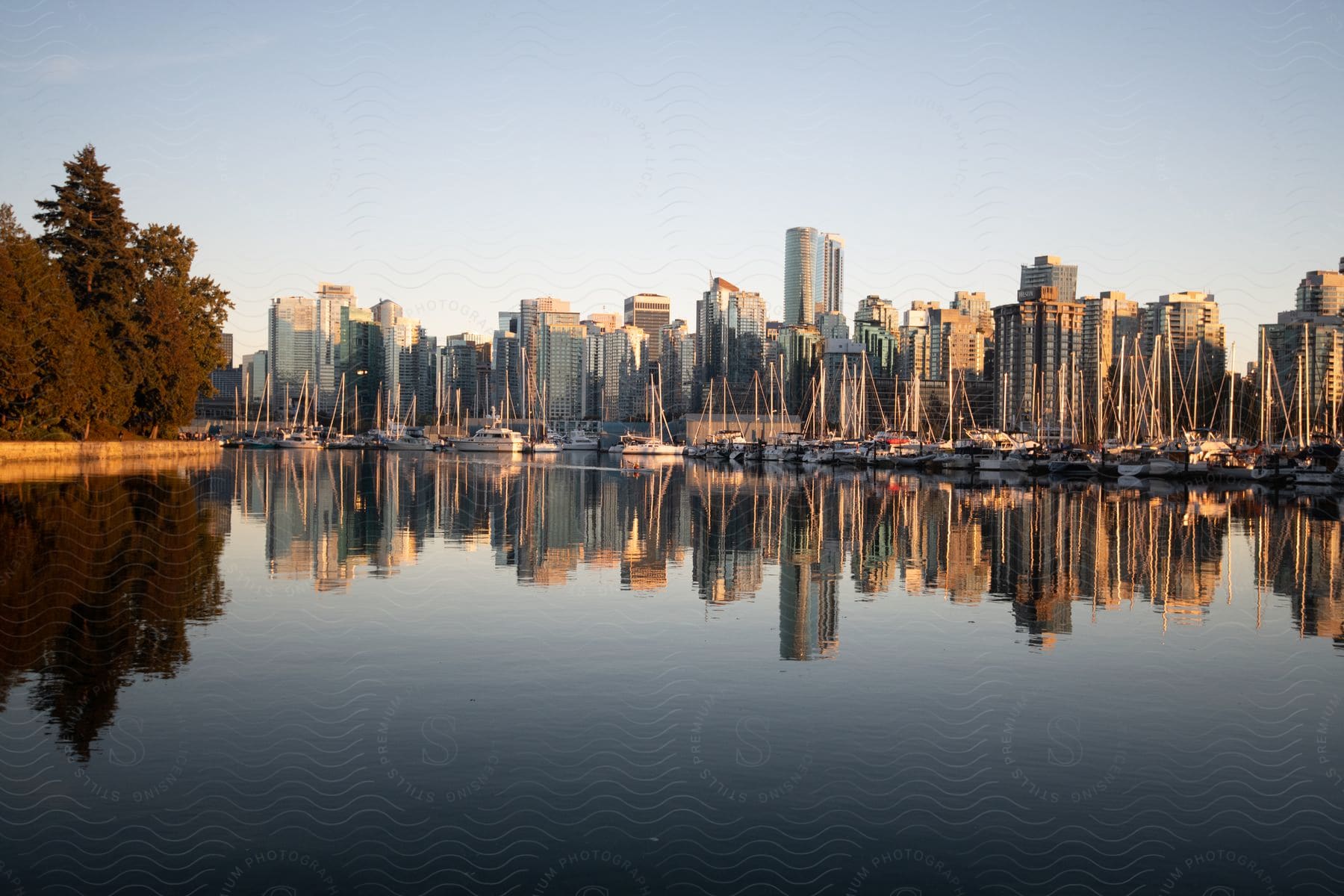 Landscape of sailboats on serene water with a city skyline in the background