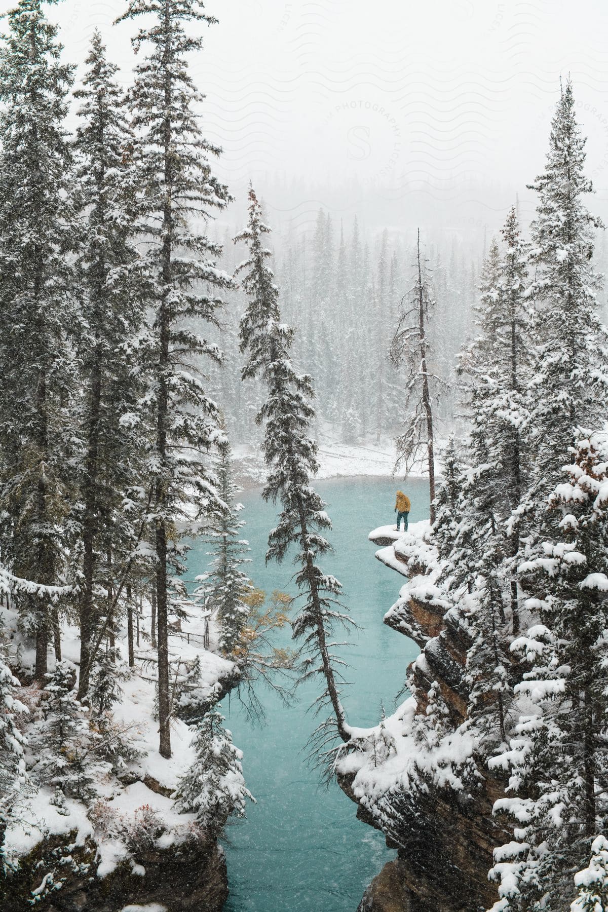 A man looks down into the water of a snowcovered lake surrounded by a forest