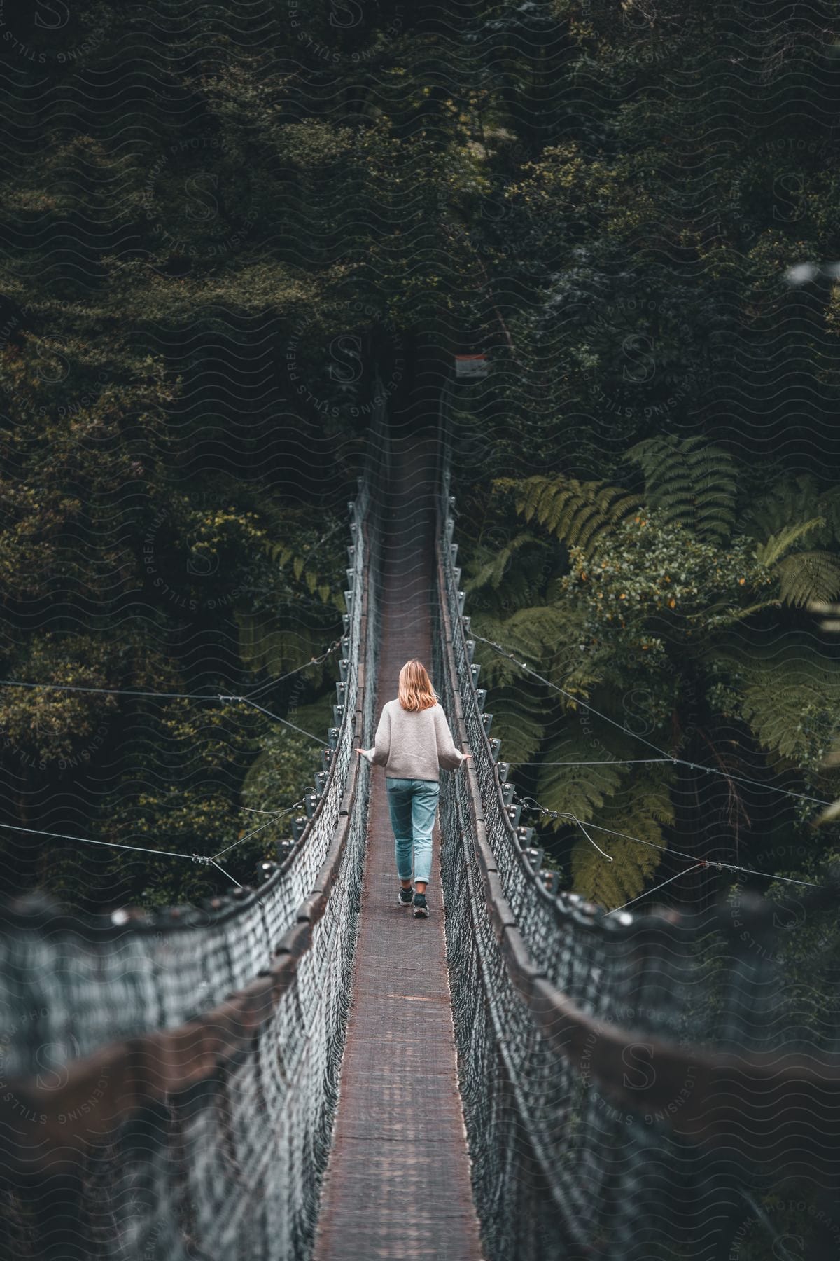 Stock photo of a person on a suspension bridge in new zealand