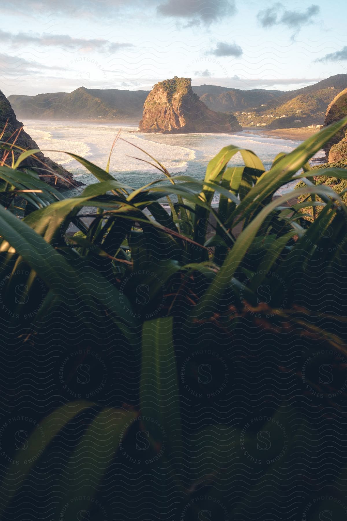 Sugarcane plants overlook a coastal beach with a rock formation on the shore and distant mountains