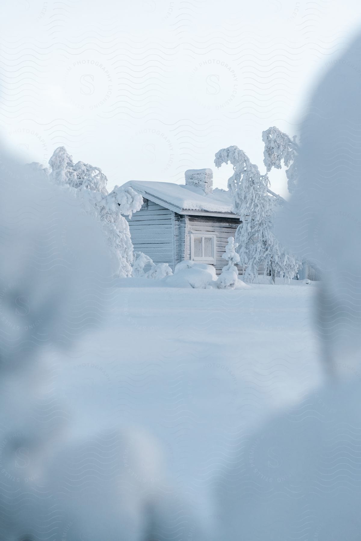 A rural cottage covered in snow