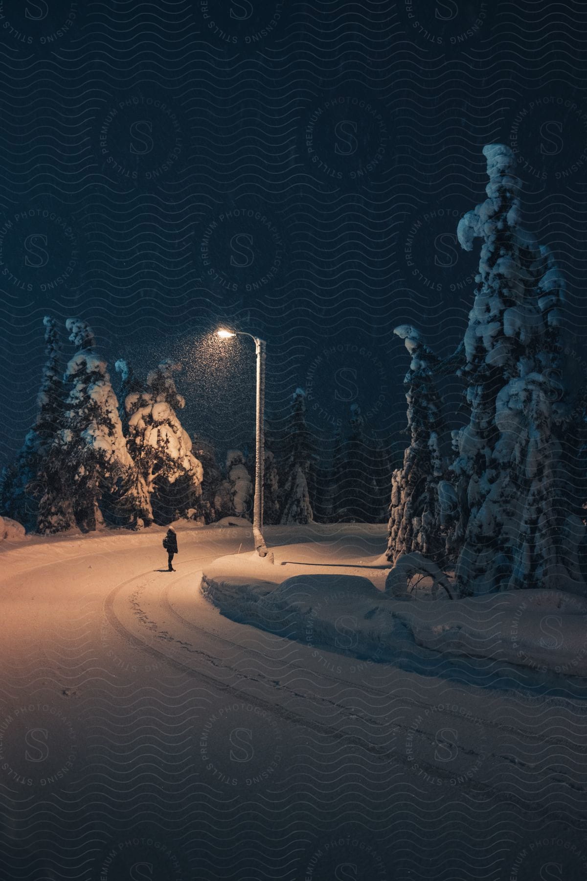 A woman stands under a streetlight at night on a snowcovered street with snowcovered trees on both sides