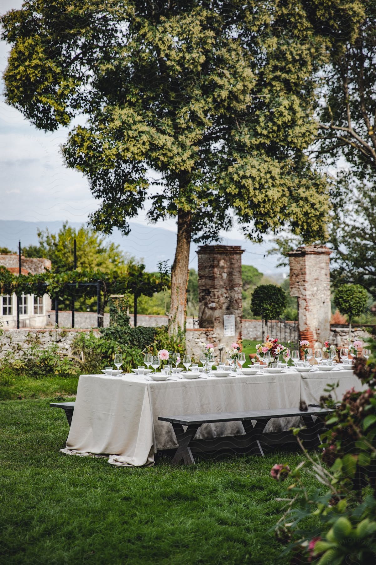 Rustic outdoor dining area with a long table and wooden benches in a green yard