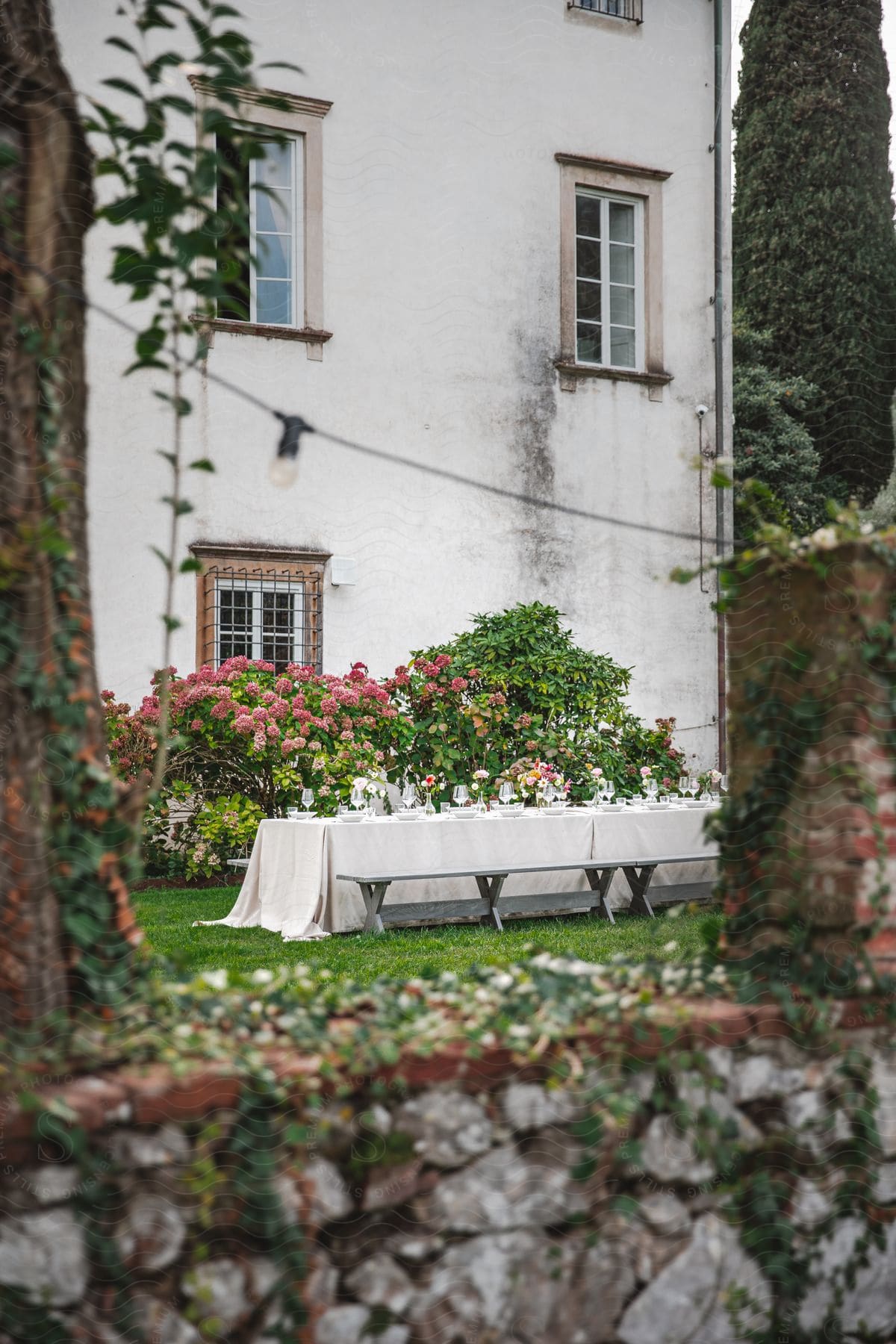 A potted geranium sits on a table in a garden