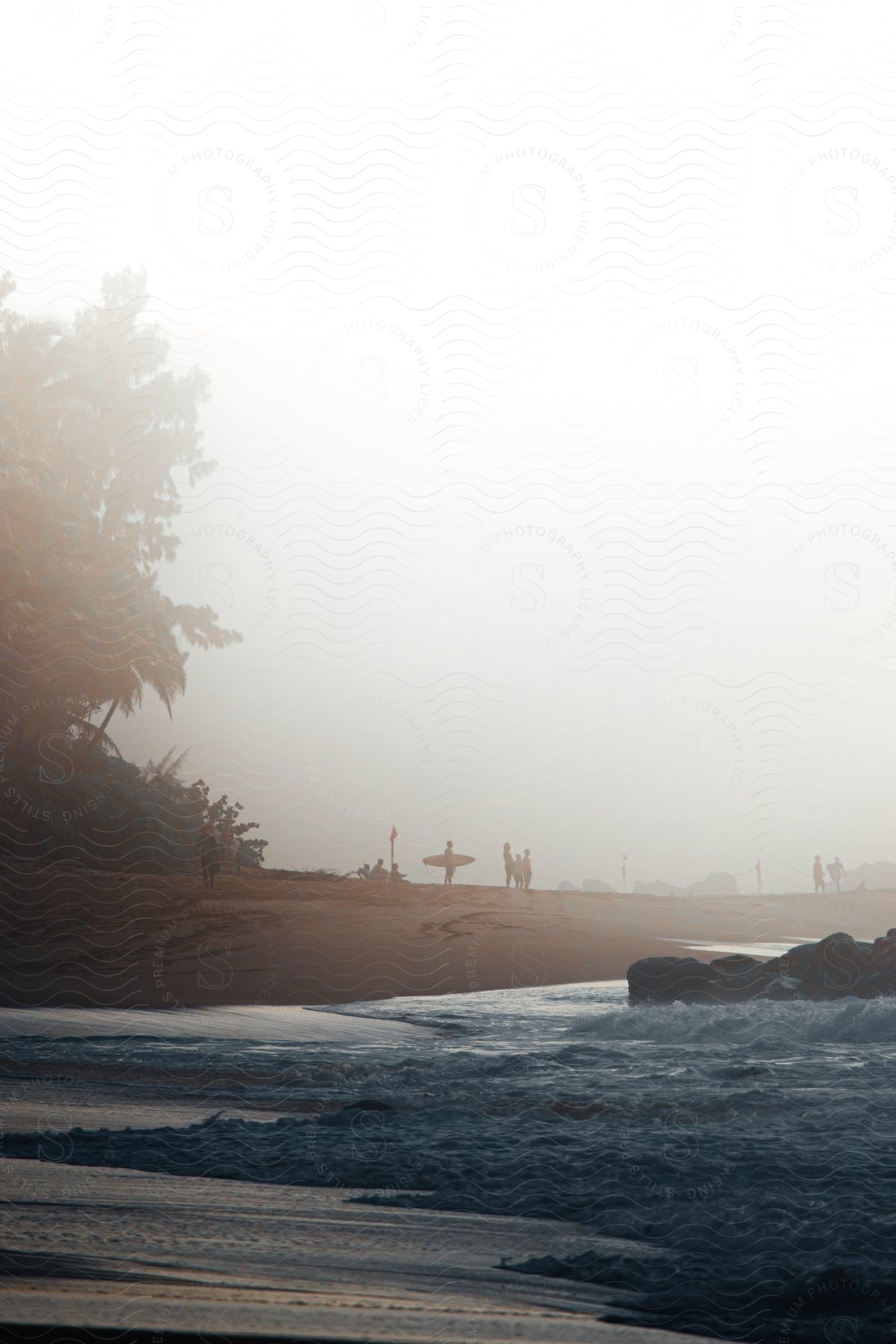 Three friends enjoying a day at the beach surrounded by nature water and a beautiful coastline