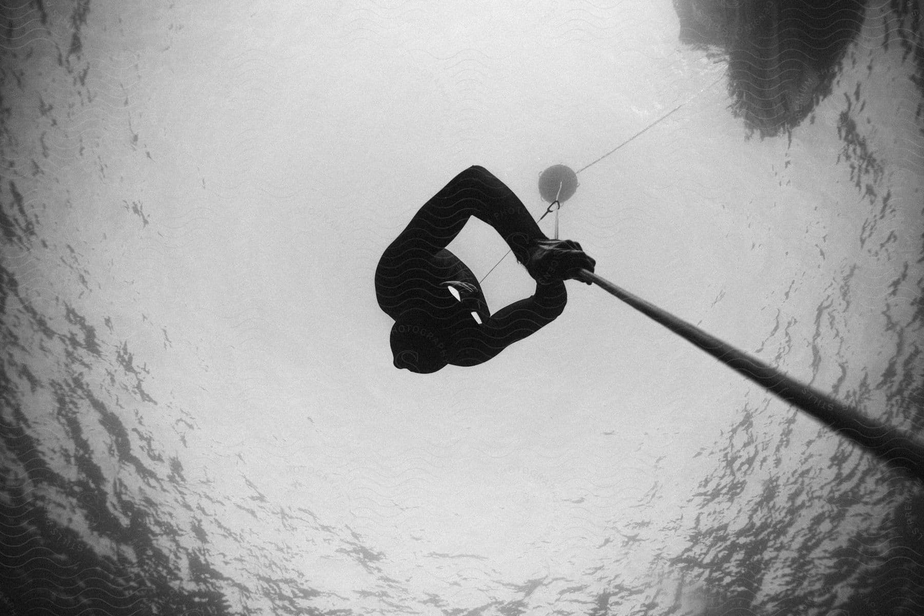 A determined man performs free diving in the sea during a daytime adventure