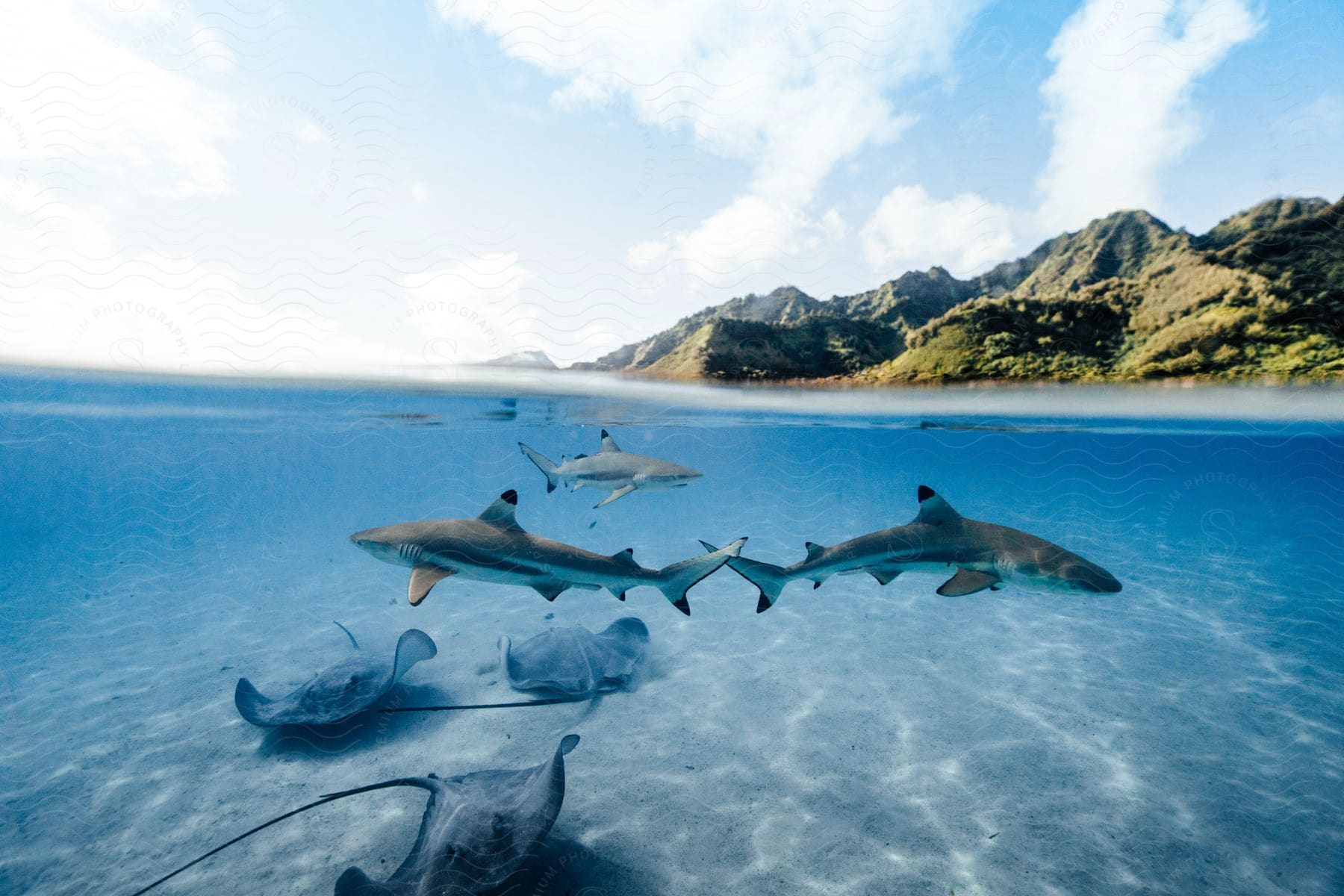 A tranquil scene of the sea with clear blue water and a cloudy sky