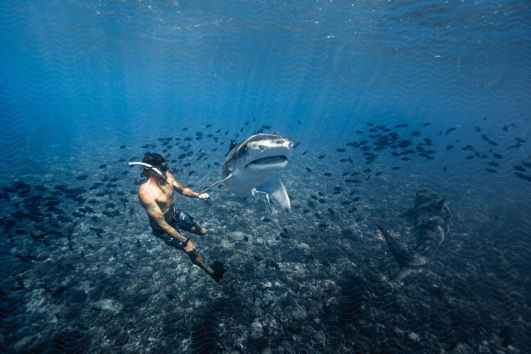A man explores the ocean floor with sharks