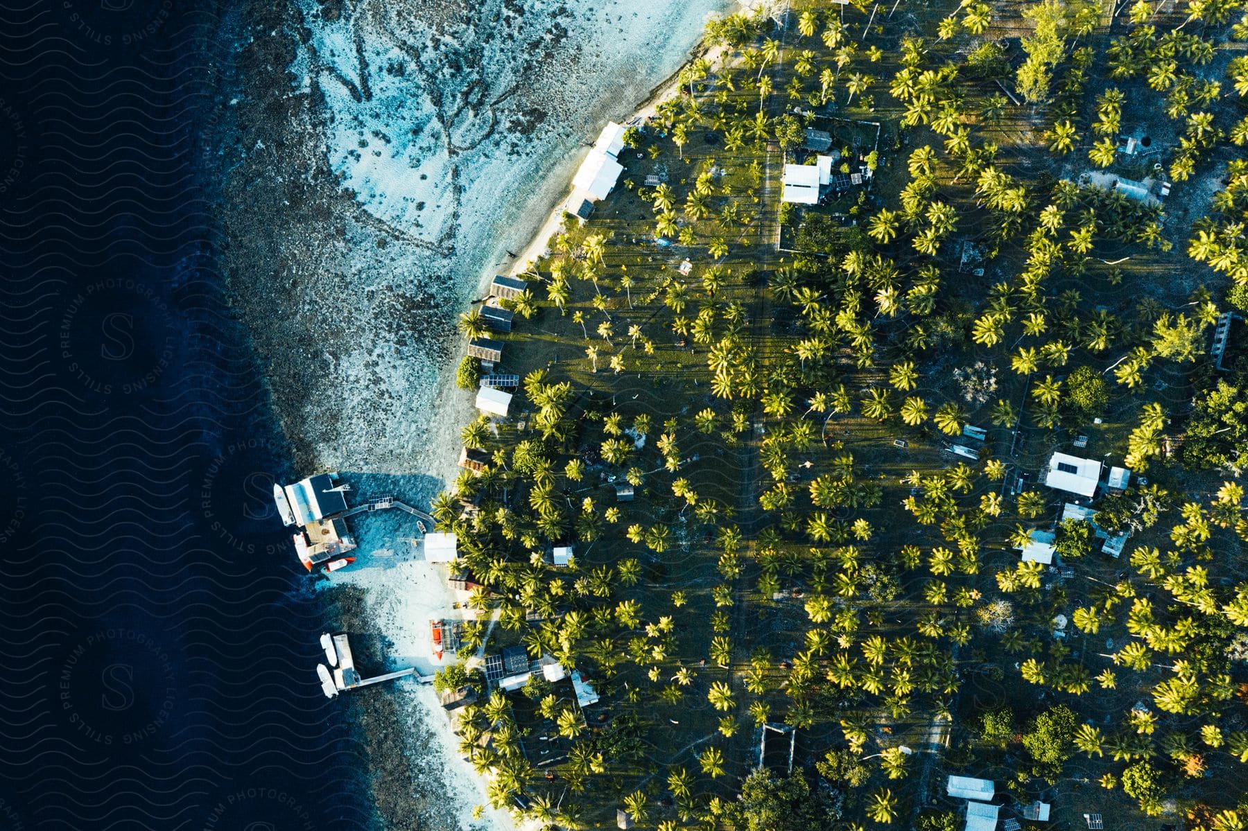 Aerial view of a shoreline with trees and vegetation