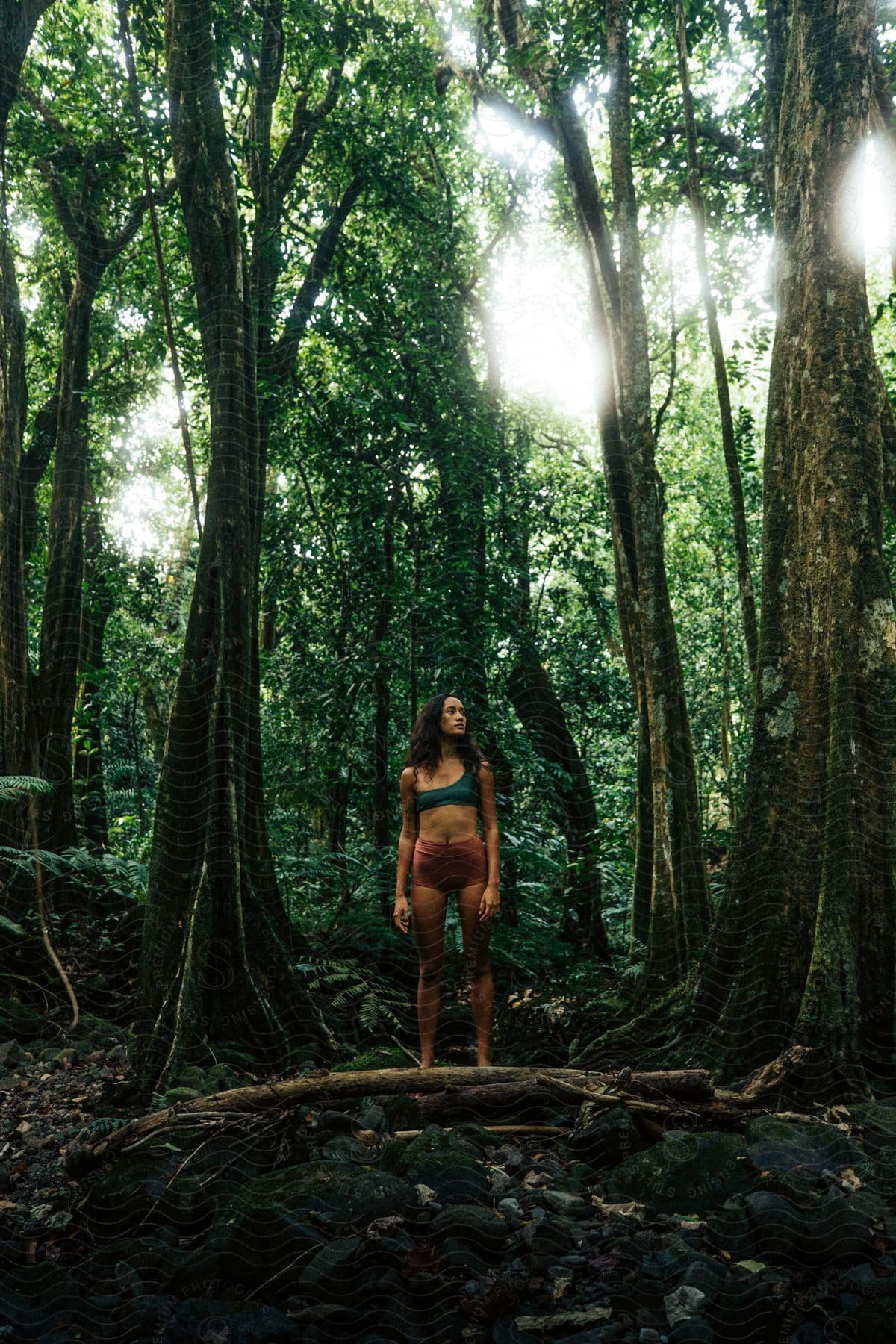 A woman stands near a fallen tree in a sunlit forest