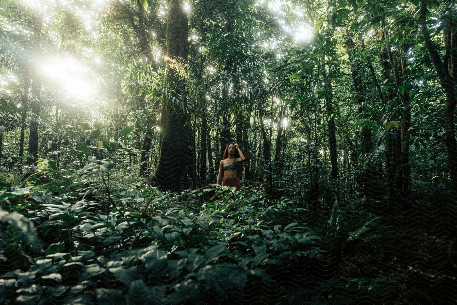 A woman stands in a rainforest with sunlight shining through the trees