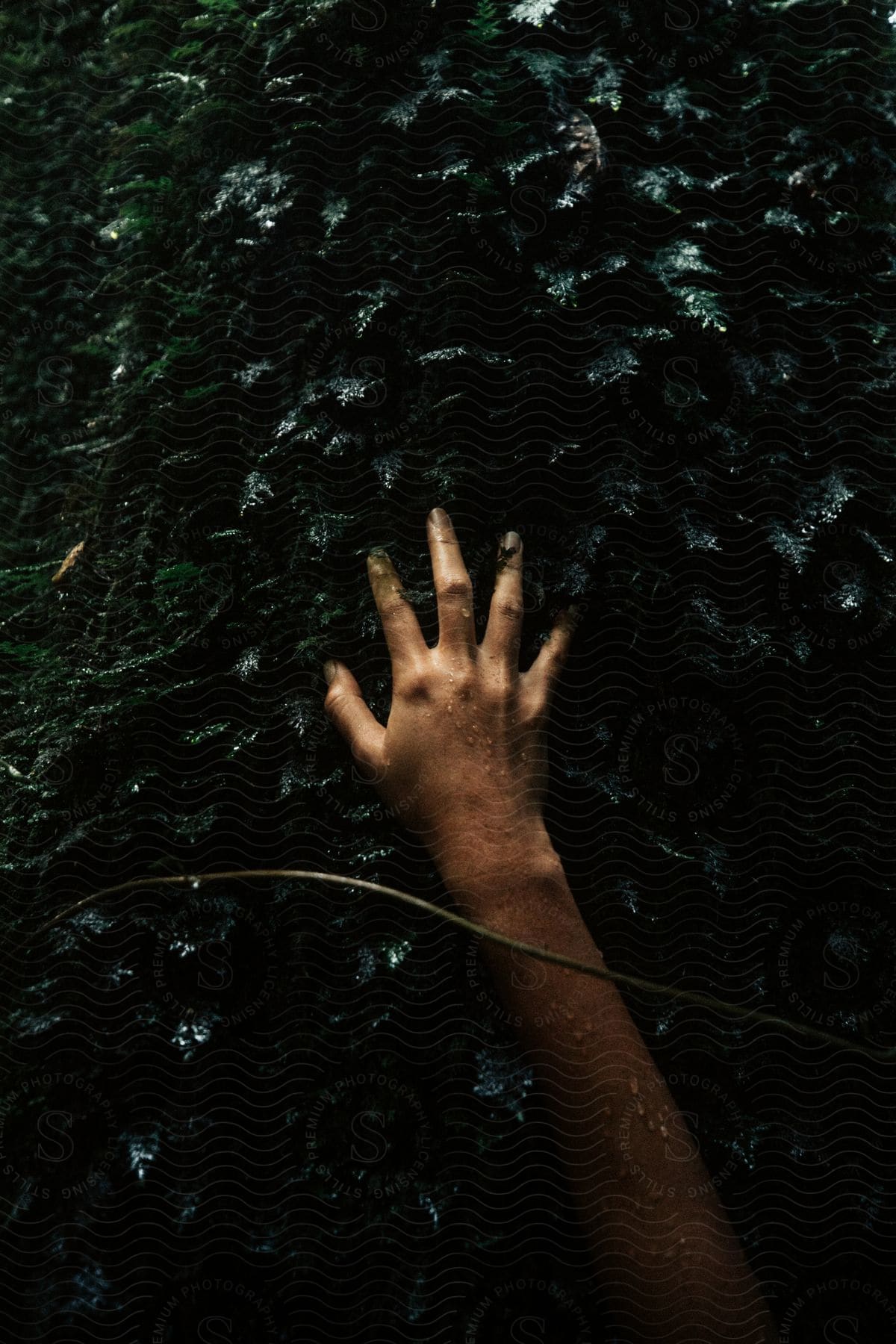 A persons hand near water and vegetation making a gesture