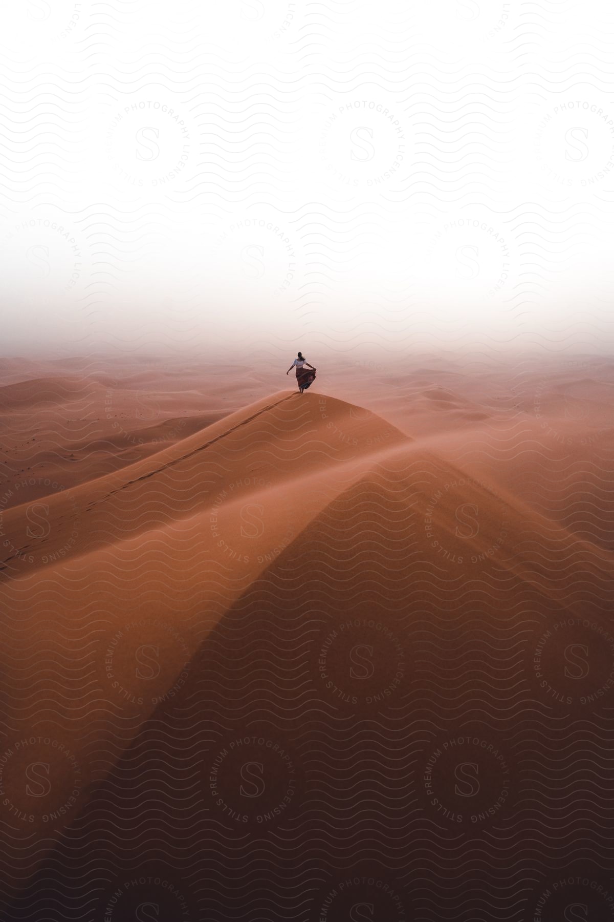 A woman standing on a desert hill in saudi arabia