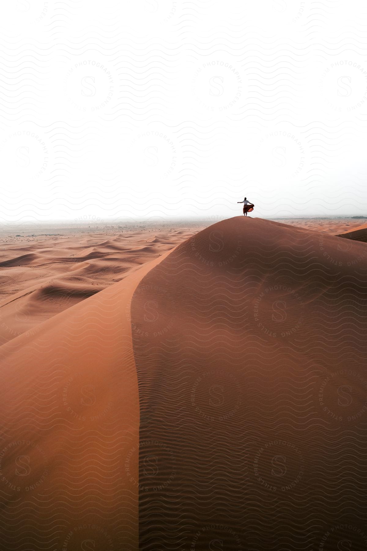 A woman standing on a sand dune in a foggy desert