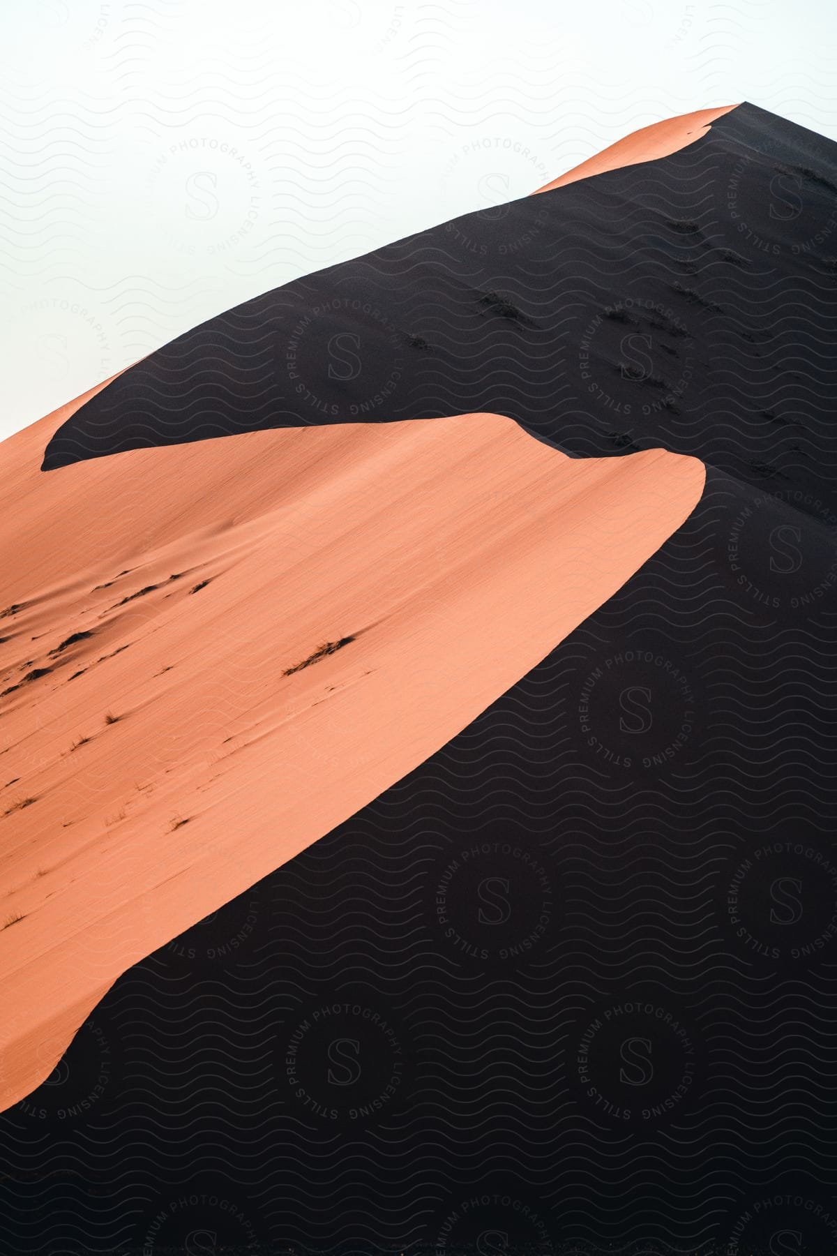 A barren desert dune under a clear sky