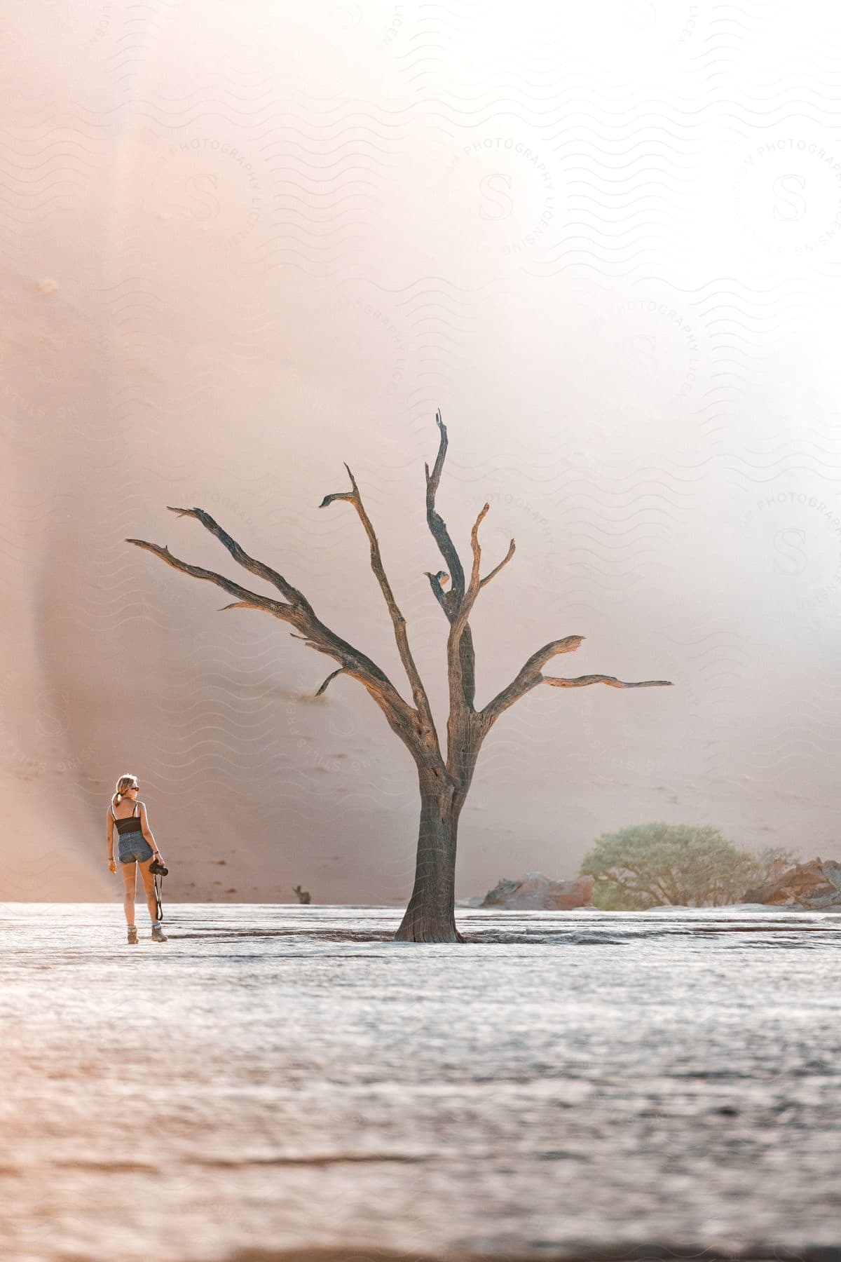 A blonde woman wearing a tank and shorts observes a dead tree in the center of a desert in namibia