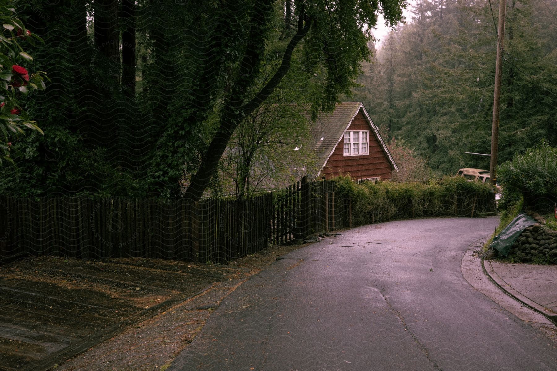 Suburban street with trees and a small house