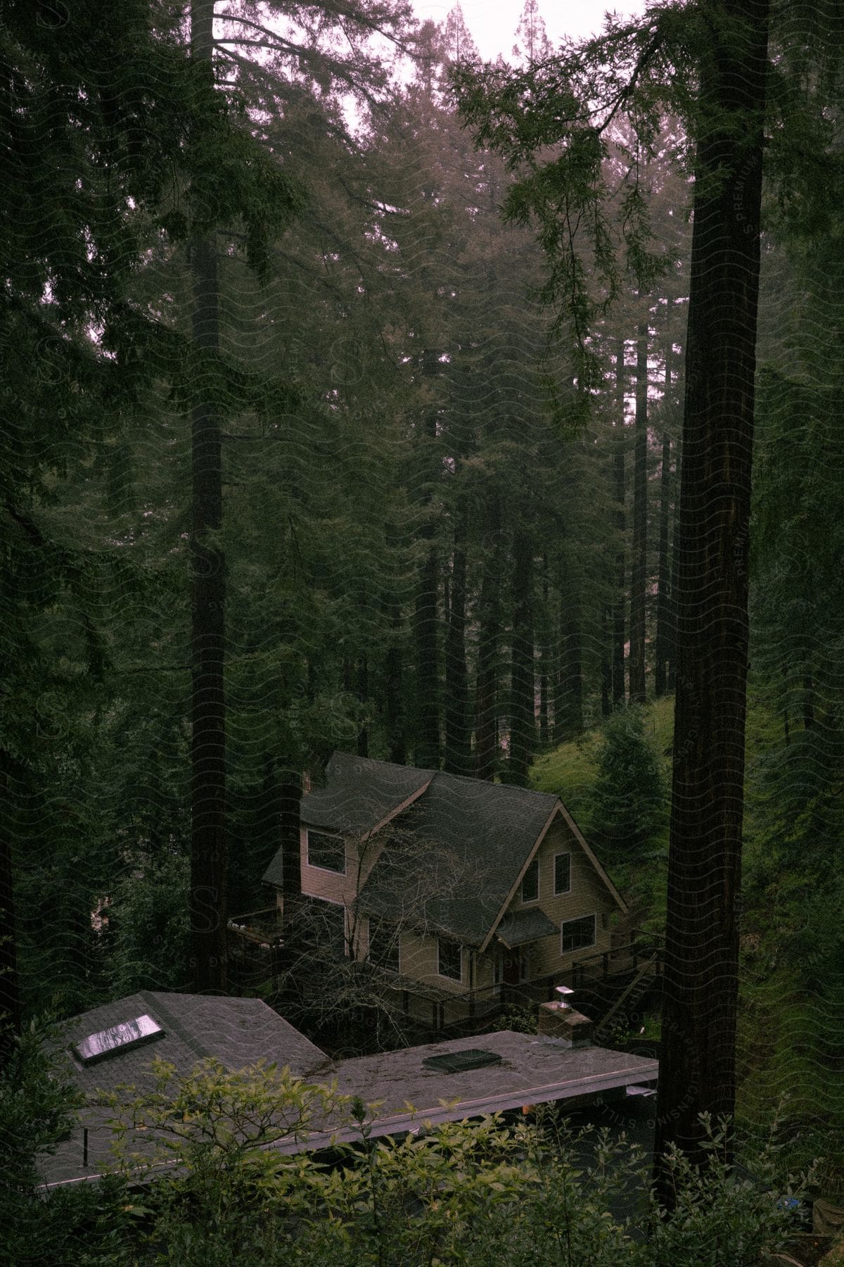 A building nestled amidst lush green bushes