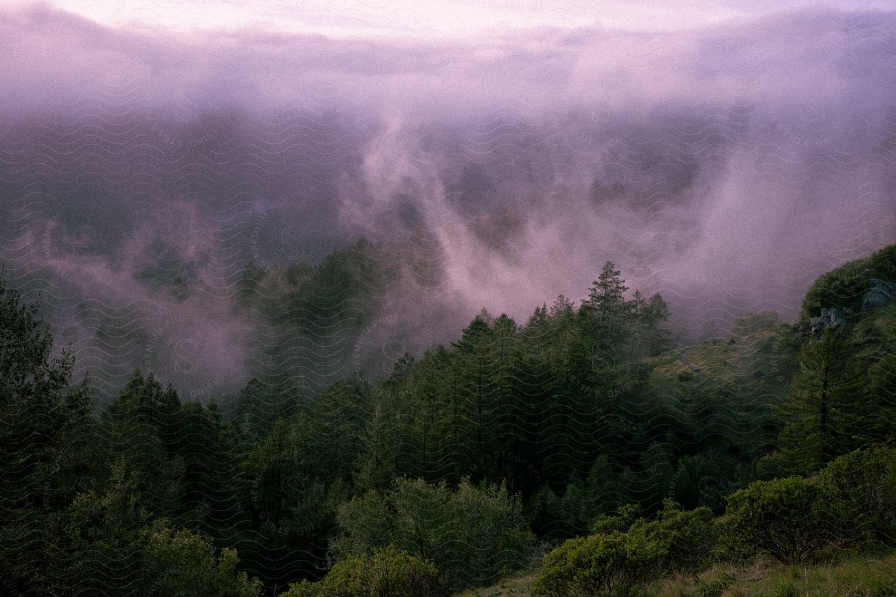 A cloudy dusk in the forest captured during a winter walk