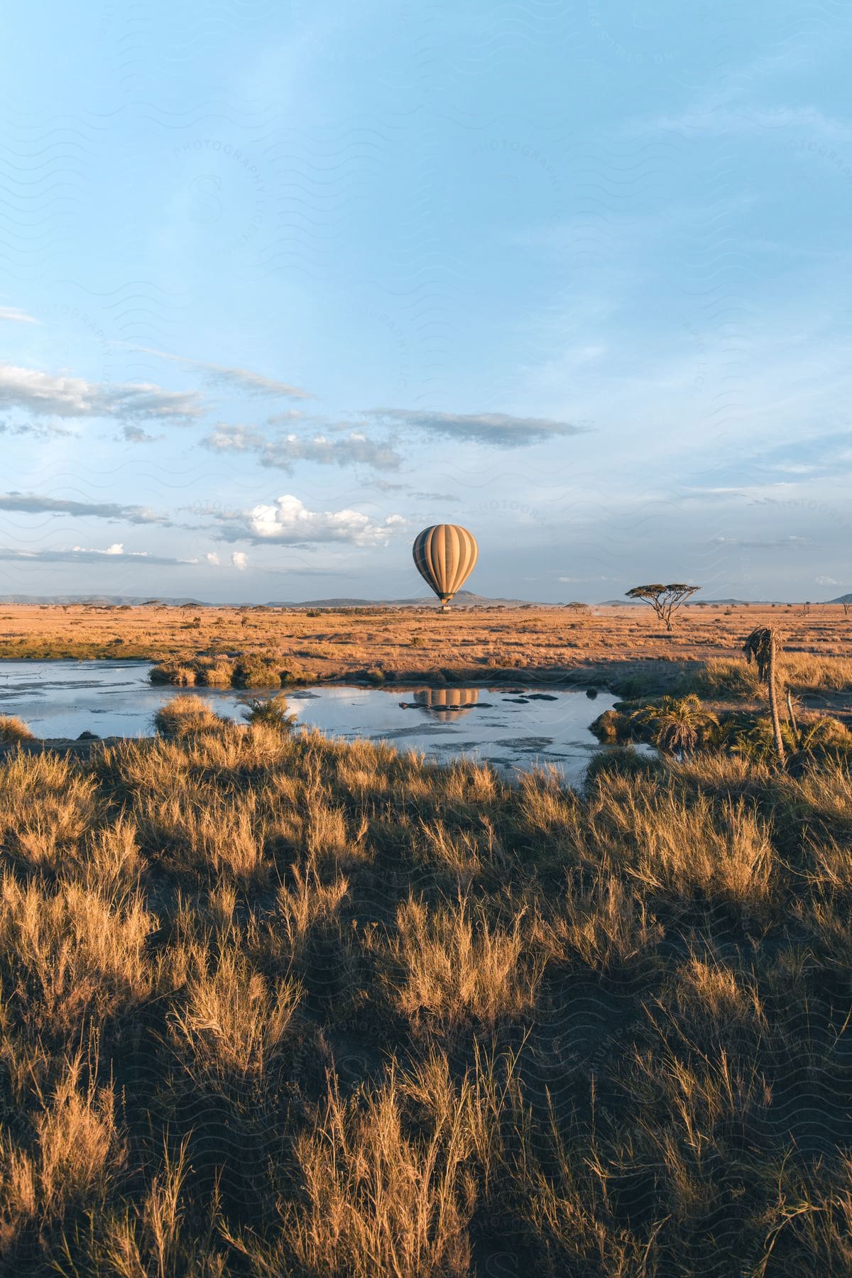 Hot air balloon on flat grassland with swampy waters in front
