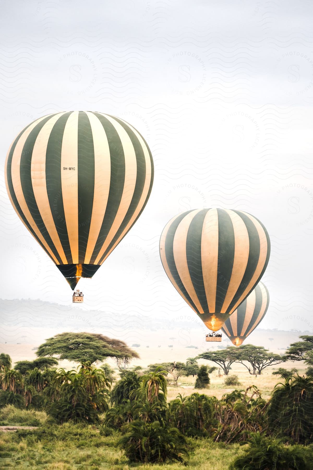 Hot air balloons rising over african grasslands