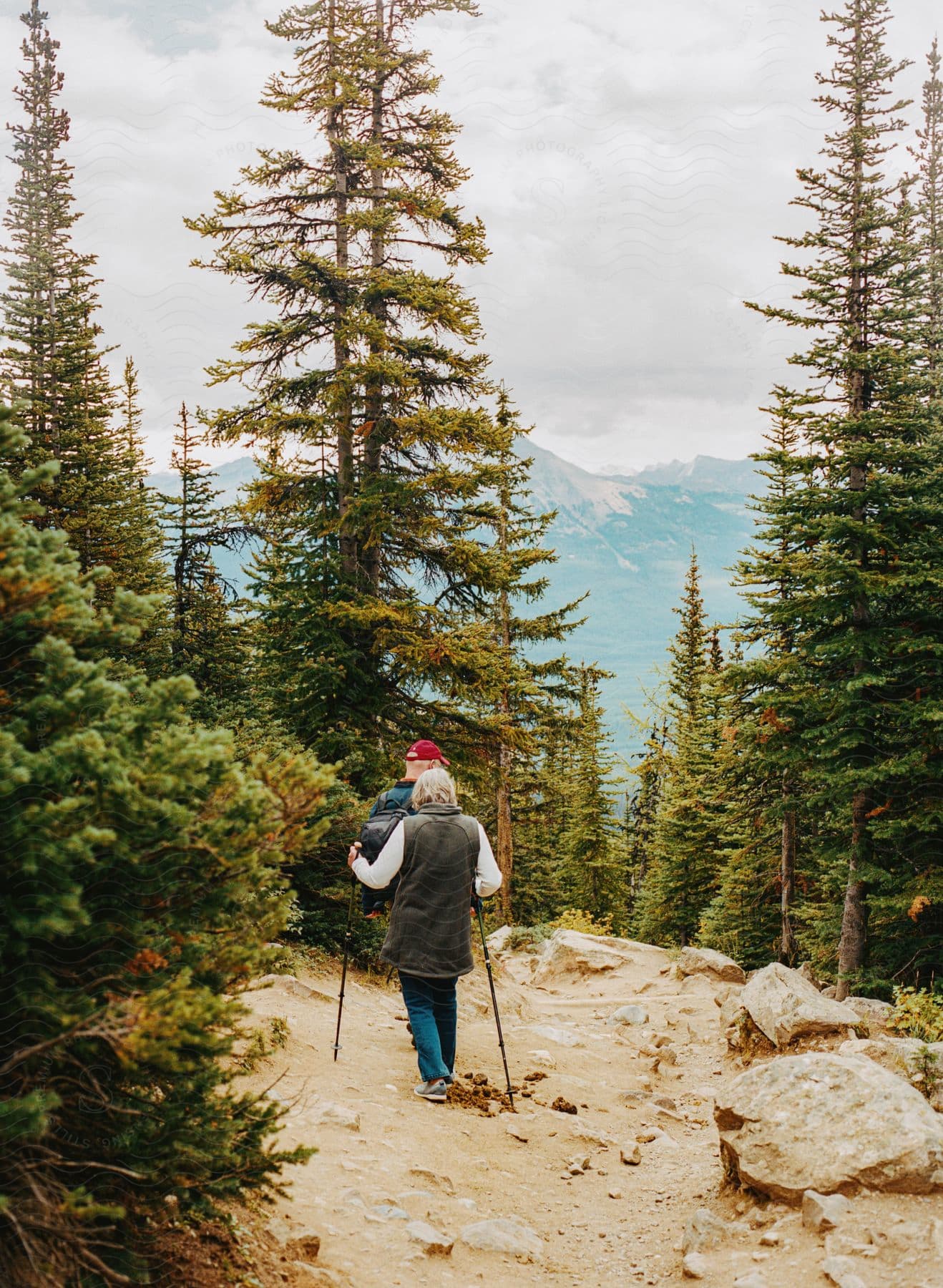 Hikers in a forest with snowy mountains in the background