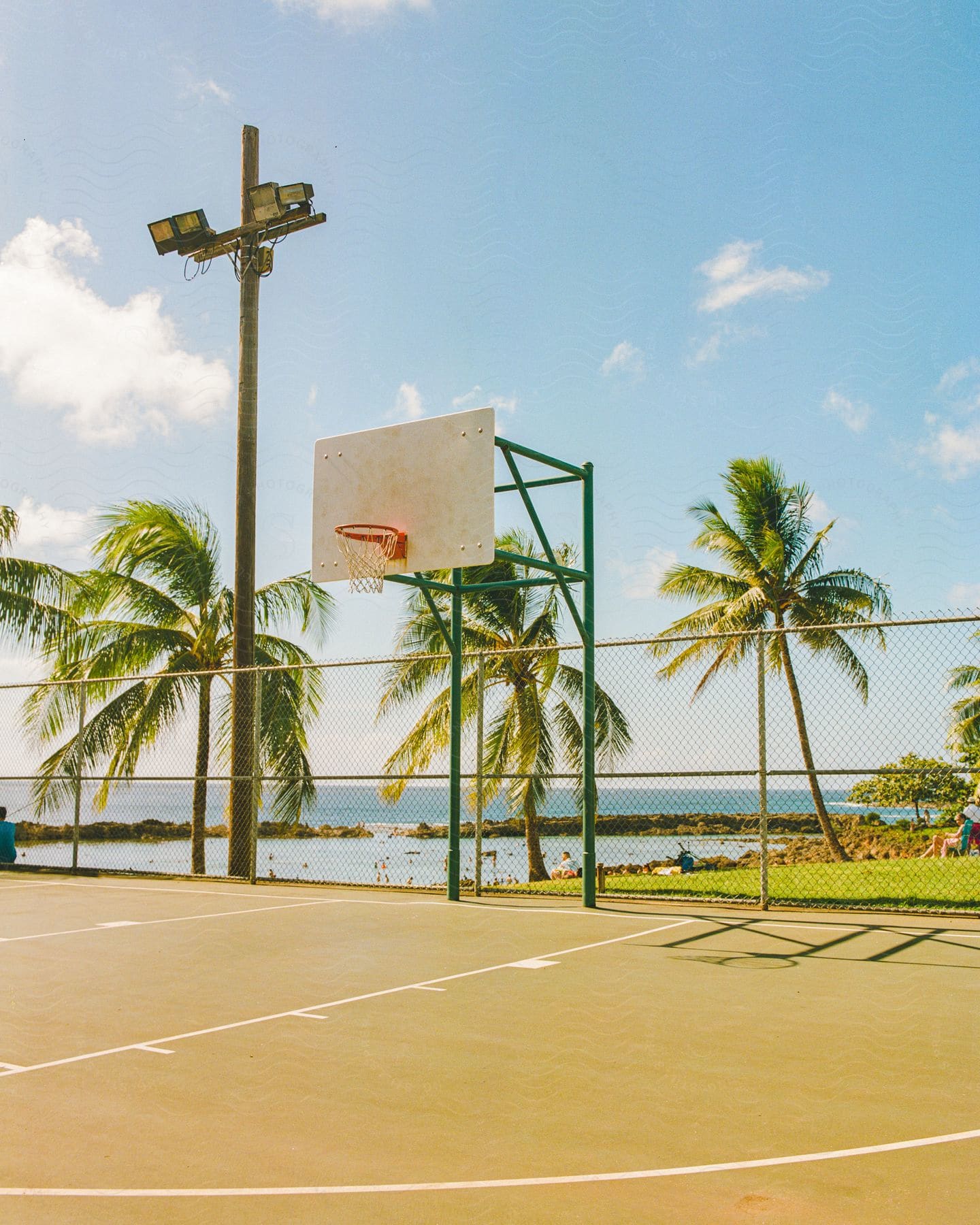 Palm trees and an empty basketball court near the ocean under a blue sky