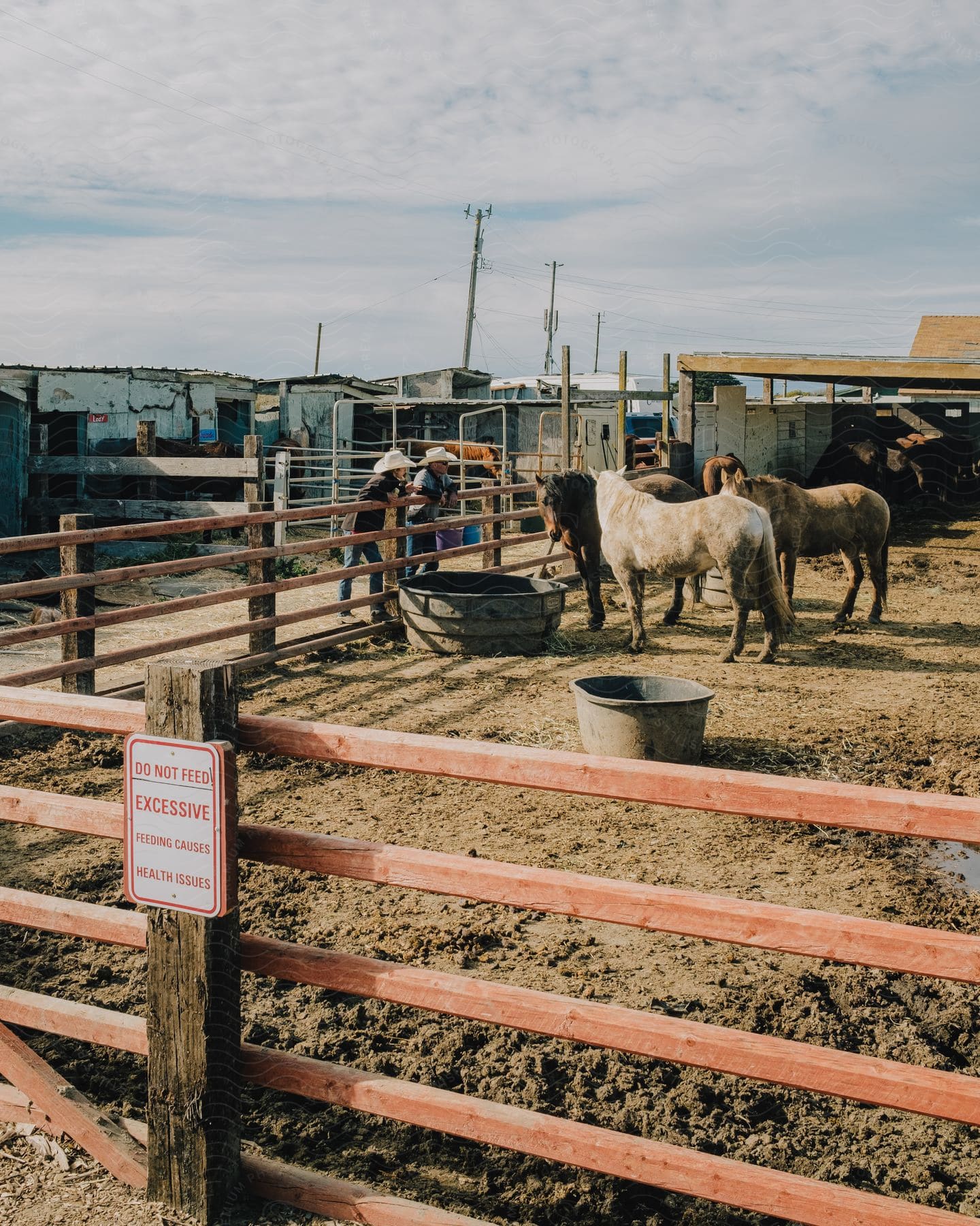 Two people standing in a rural area with a cow and horse nearby under a cloudy sky with a wooden splitrail fence