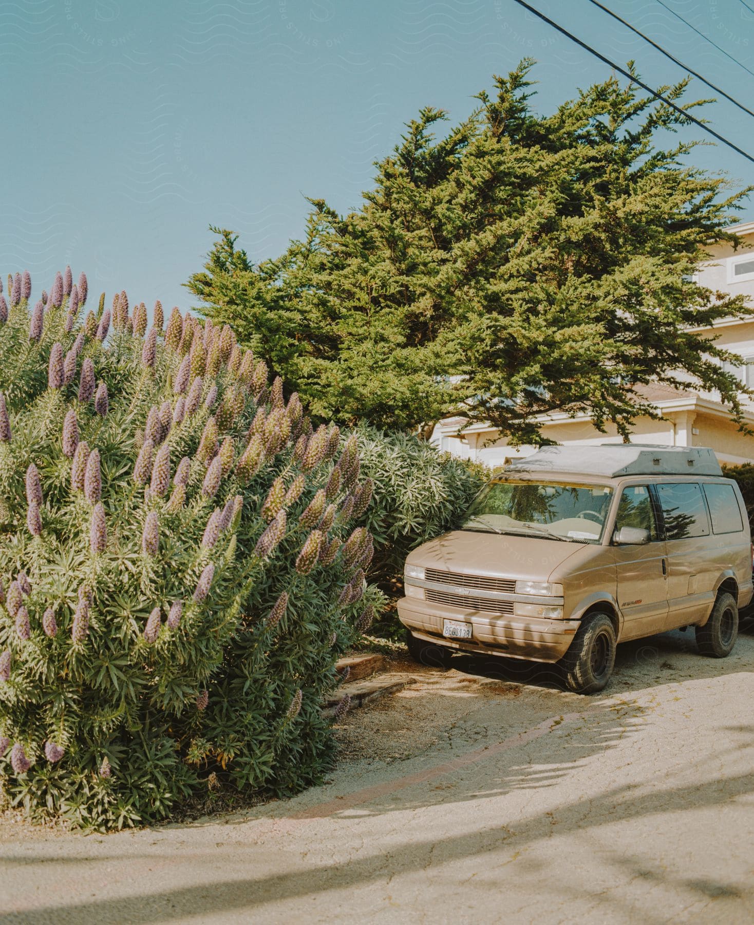 A landscape with a van on a road surrounded by vegetation