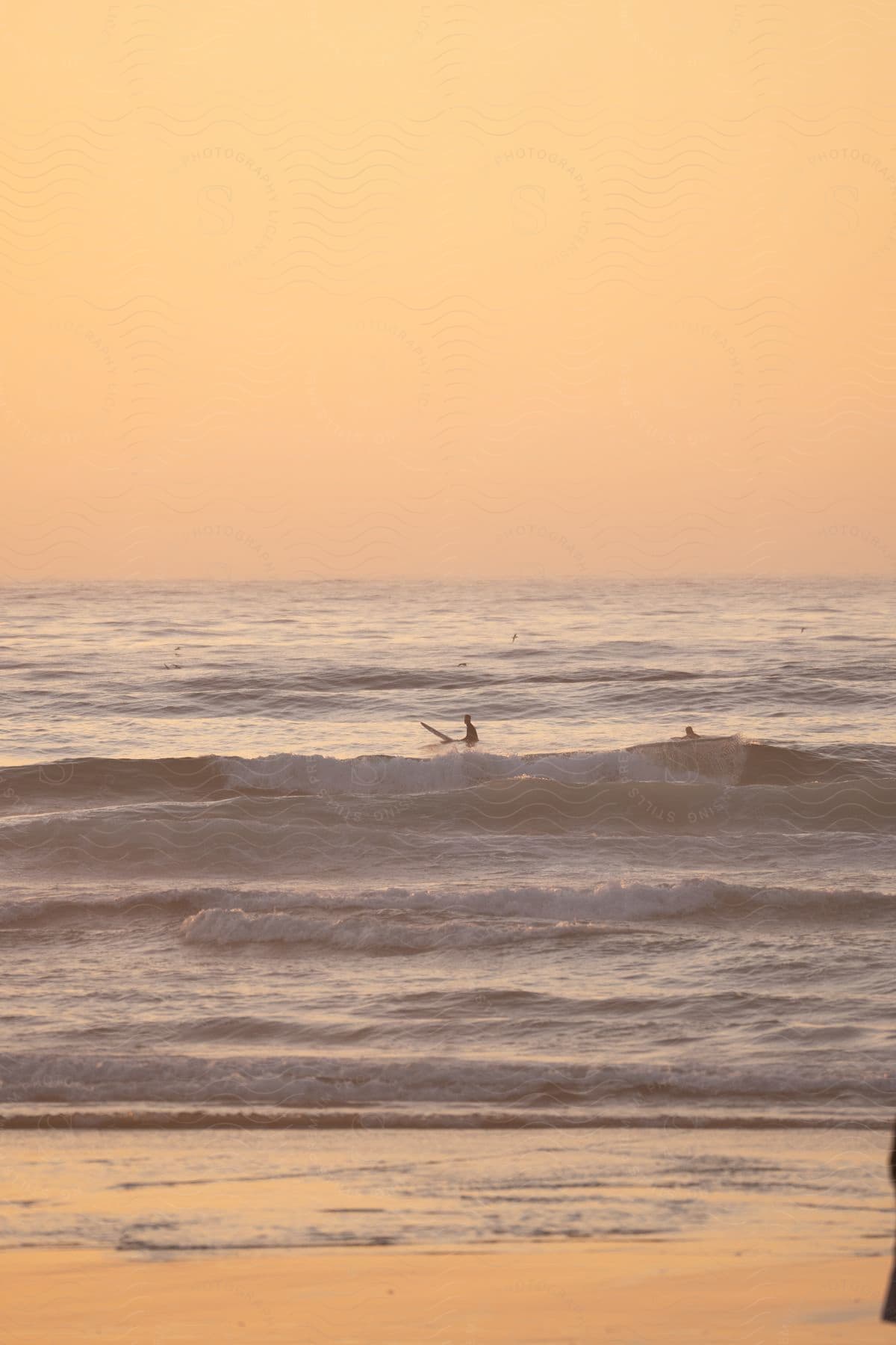 A small figure swimming and surfing in the water