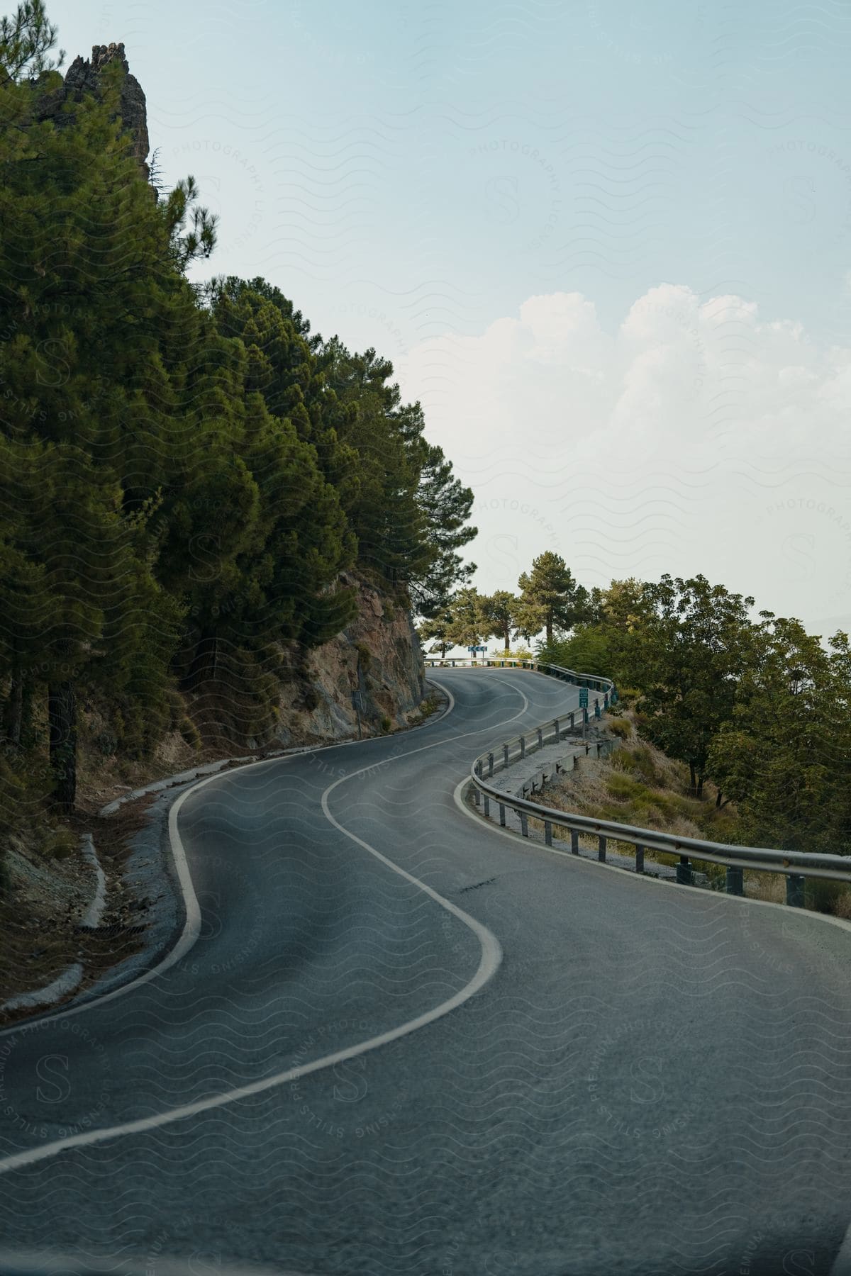 A winding road with trees on both sides heading up a slight incline during the day