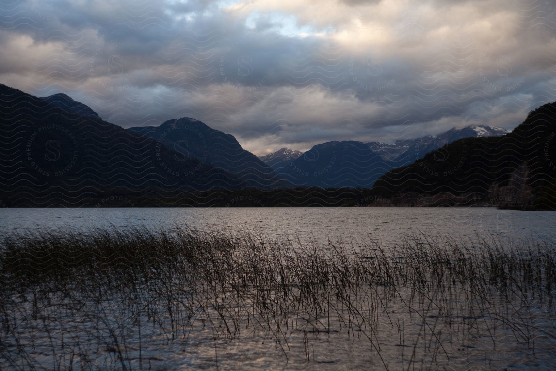Reeds stand in a calm lake under a cloudy sky with a backdrop of layered mountains