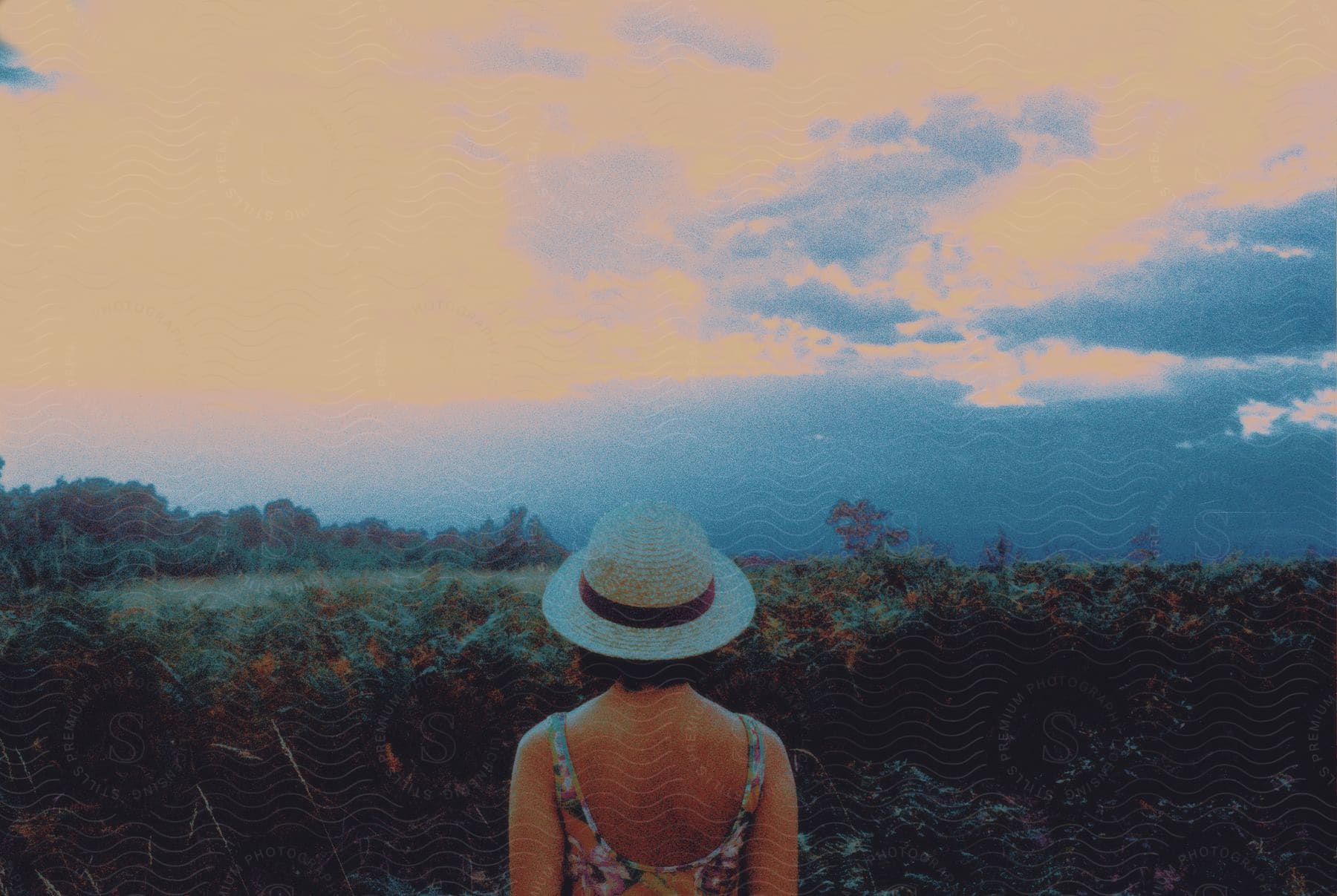 A woman in a hat and sundress overlooks a plantfilled summery landscape