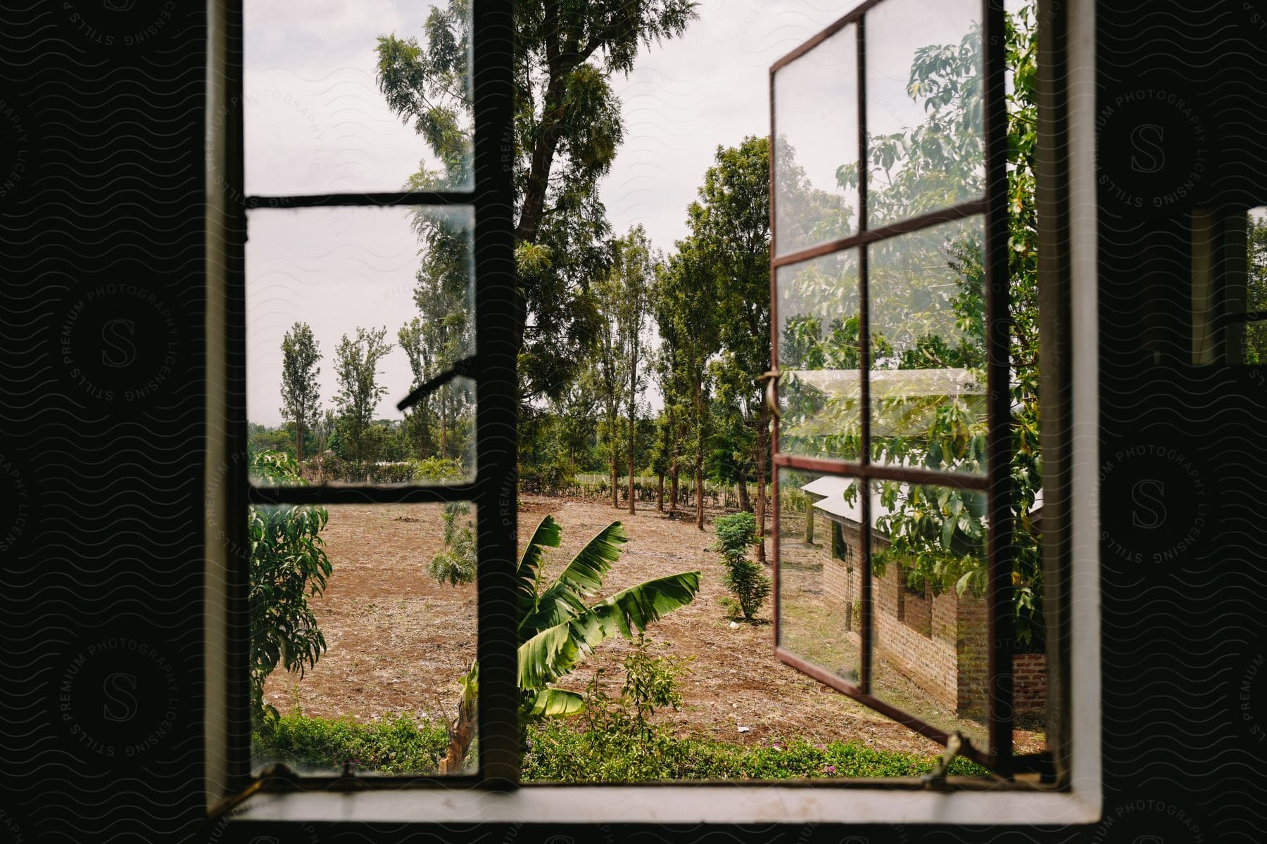 An opened window showing the backyard with many trees