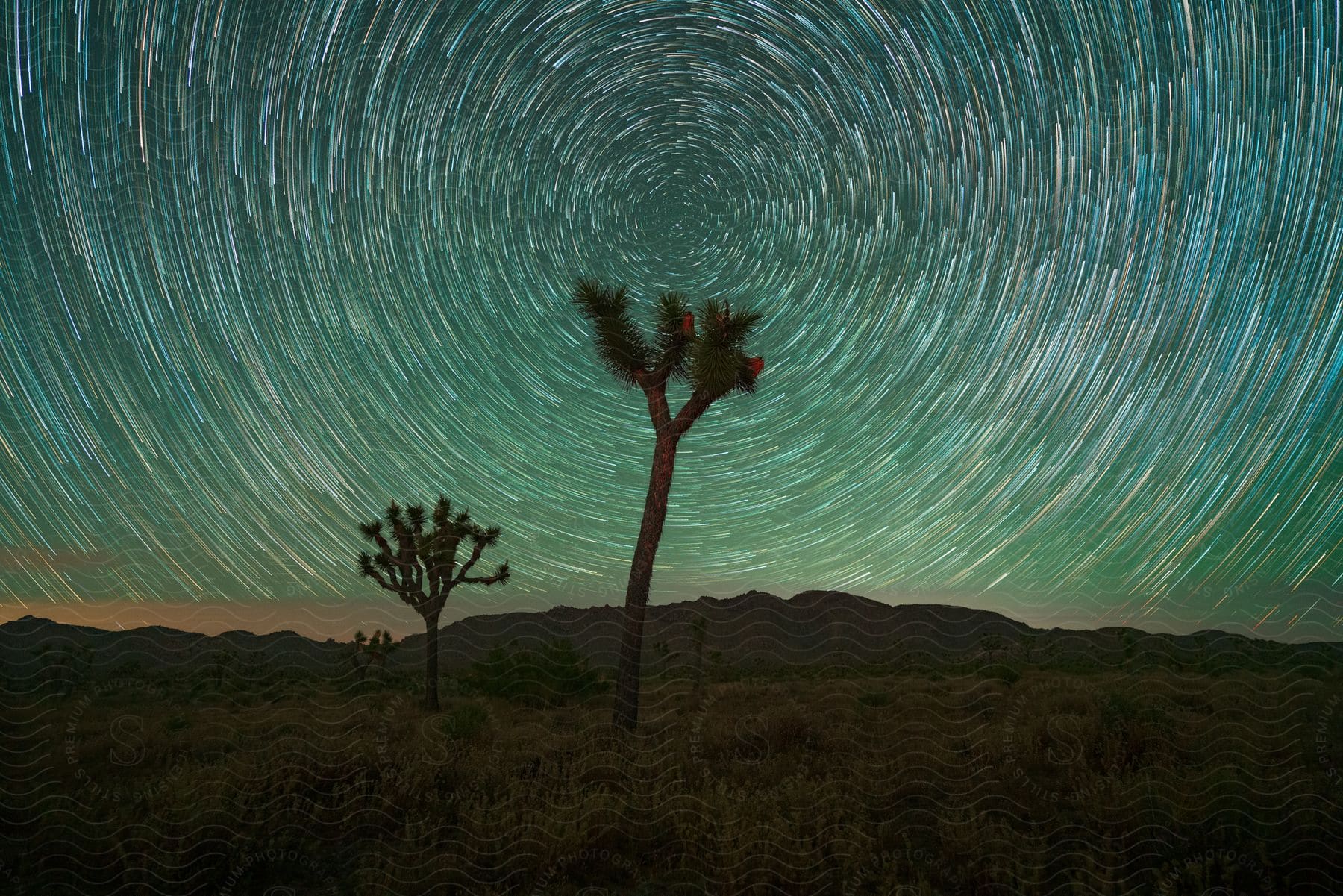 Swirling patterns in the sky above a treedotted plain at dusk