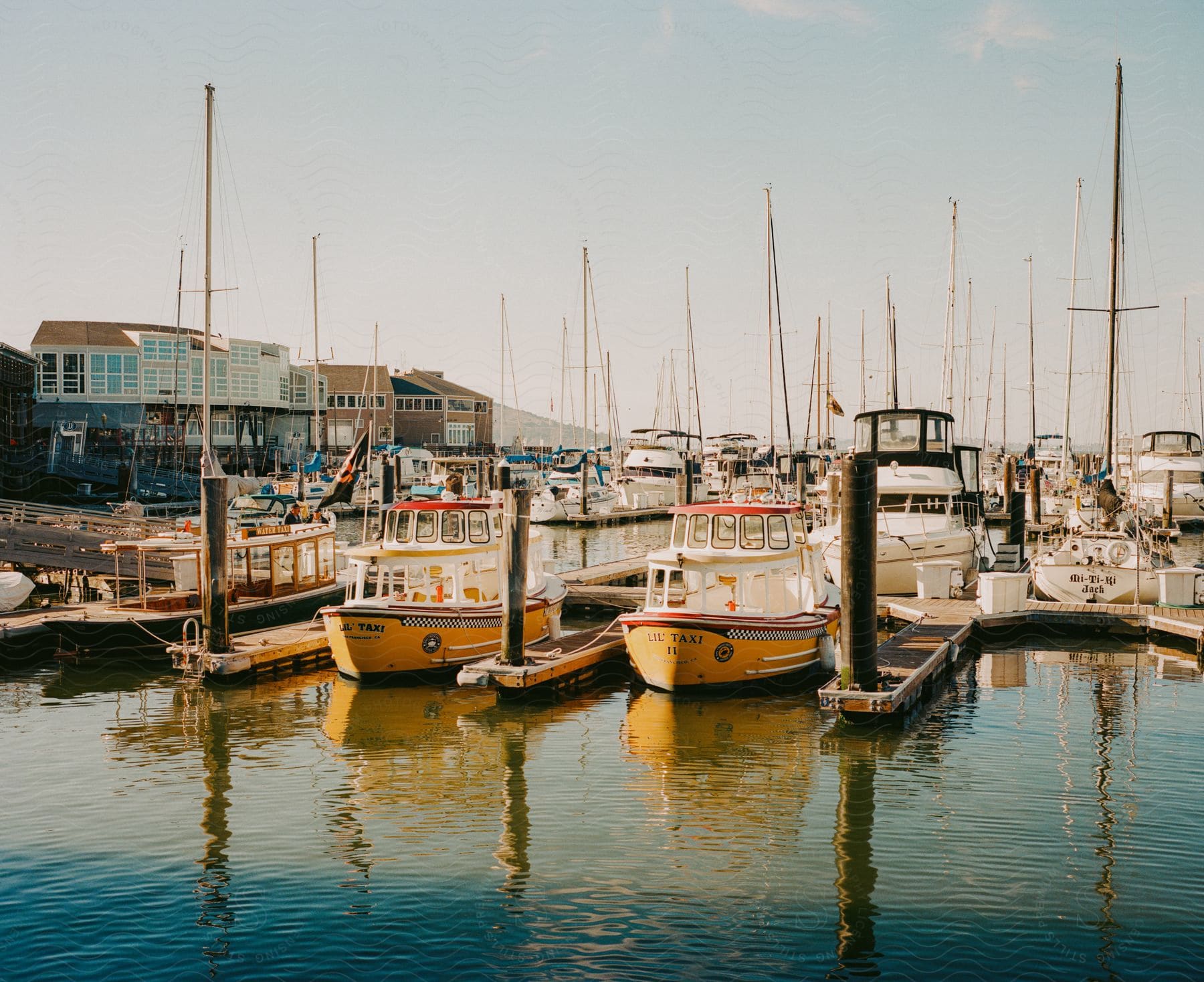 Several sailboats anchor in the harbor