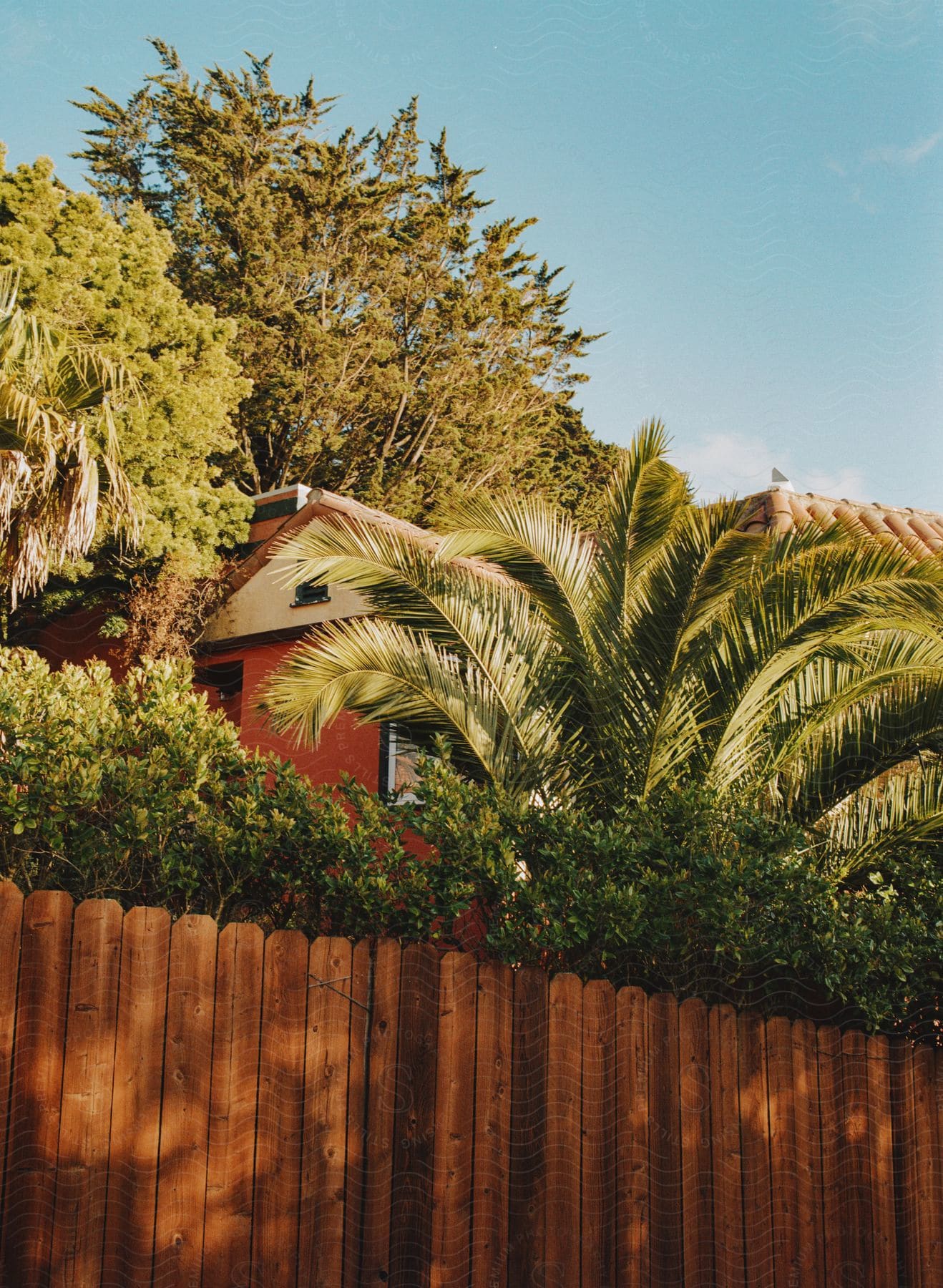 A house is visible through a fence surrounded by tropical vegetation