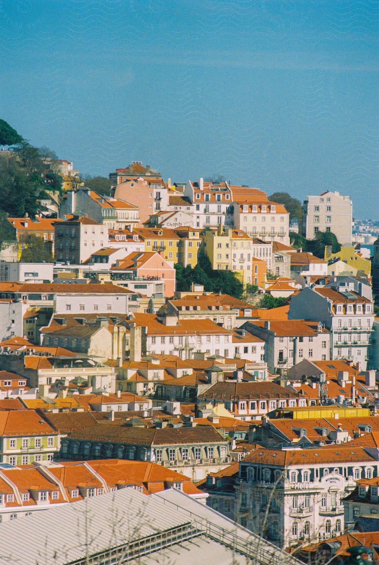 A group of tightly packed older buildings with red roofs on a sloping hill under a blue sky